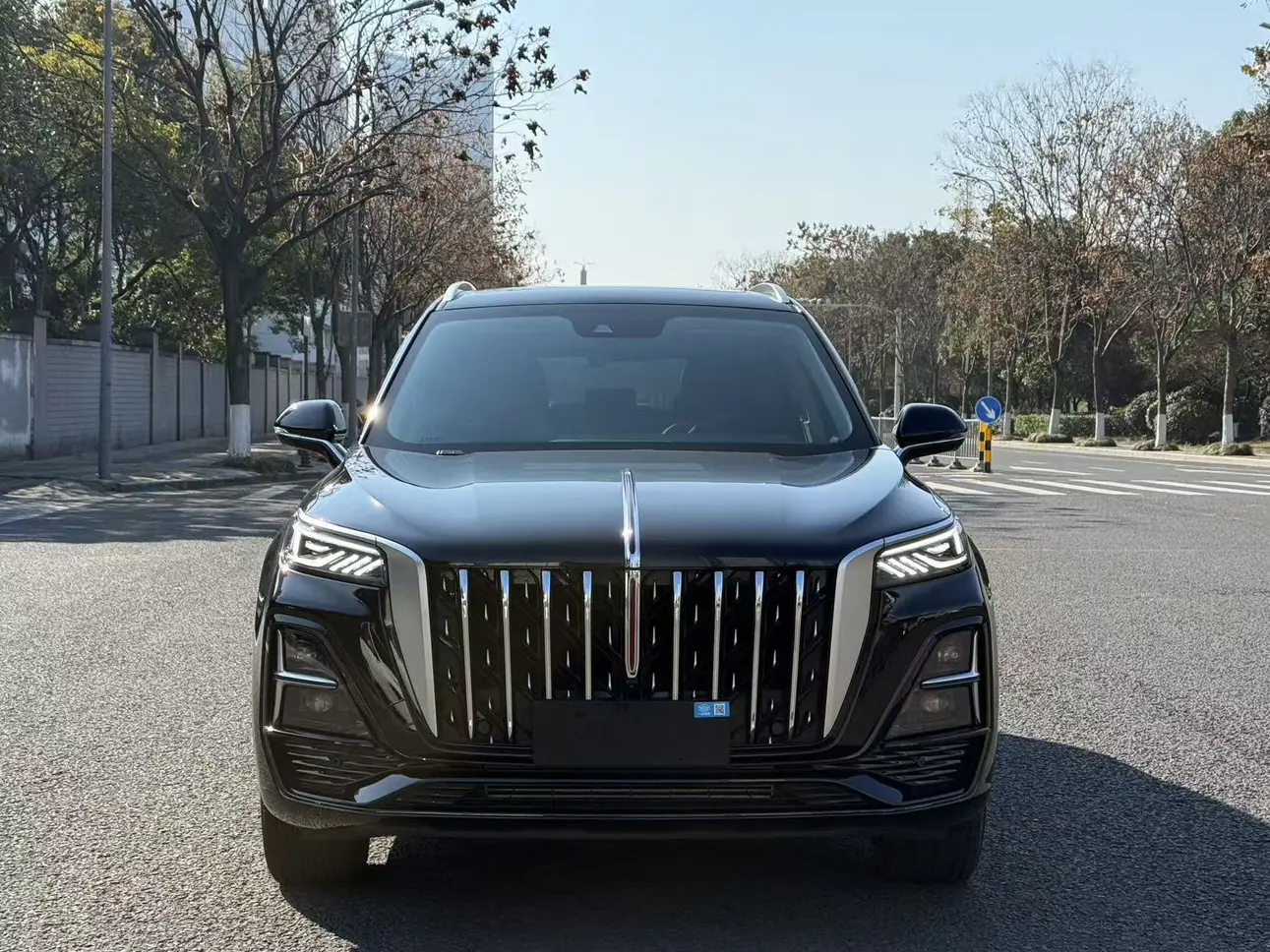 Hongqi HS5  из Китая