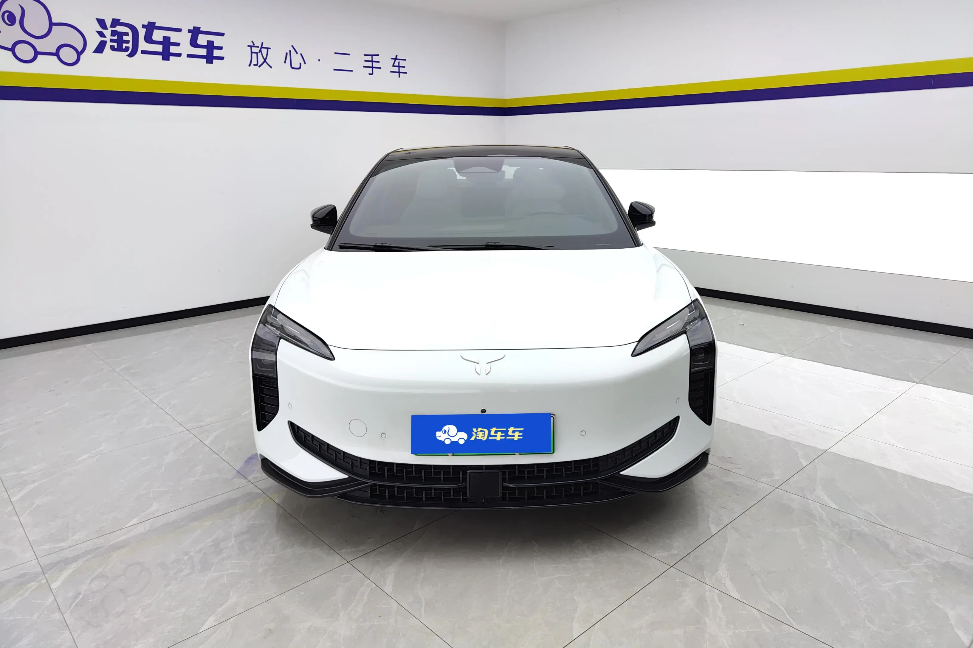 Hongqi EH7  из Китая