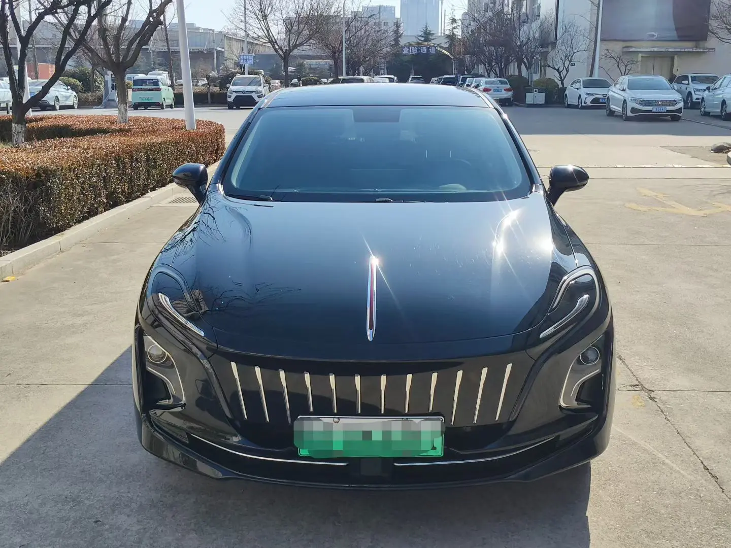 Hongqi E-QM5  из Китая