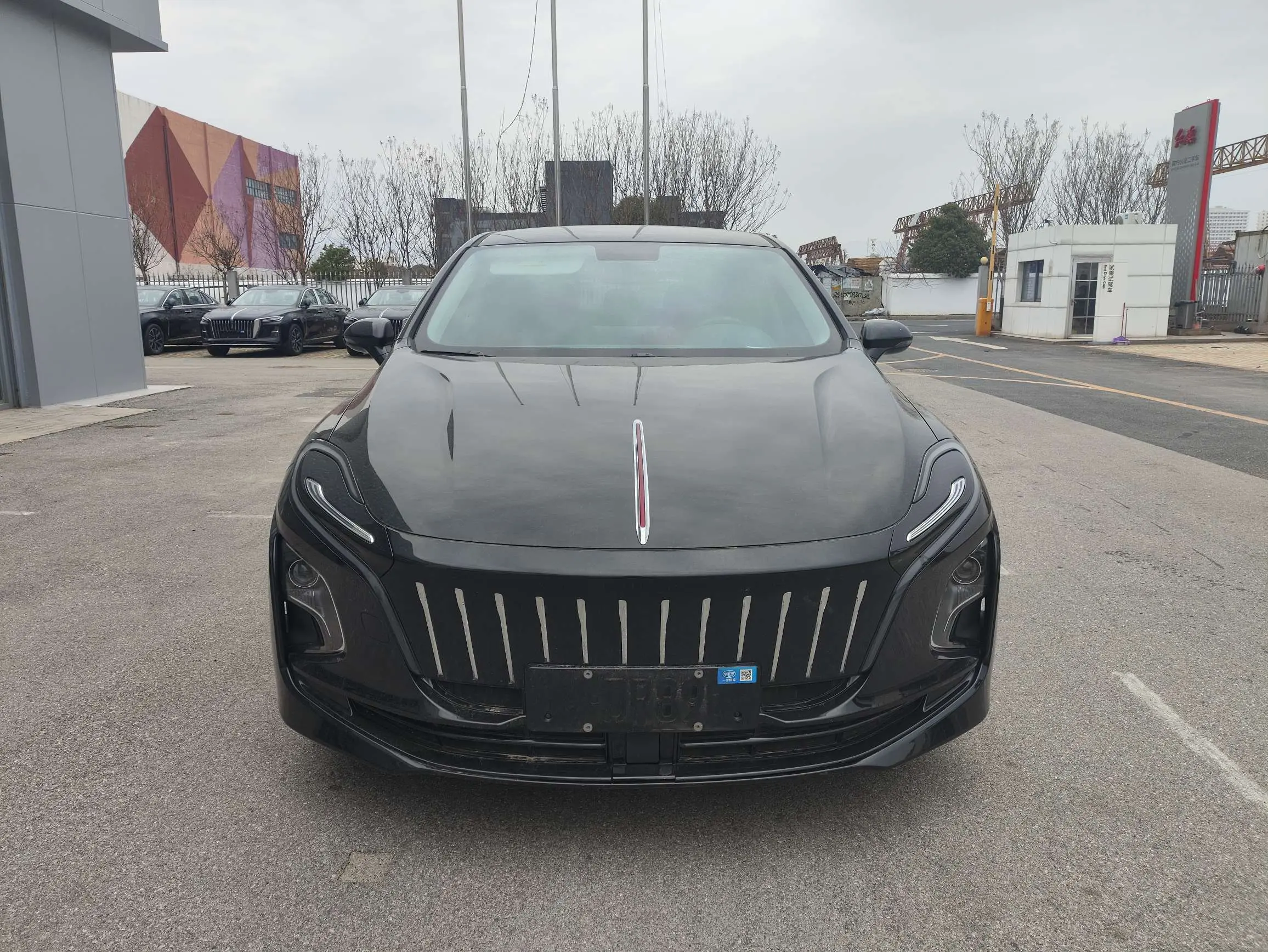 Hongqi E-QM5  из Китая