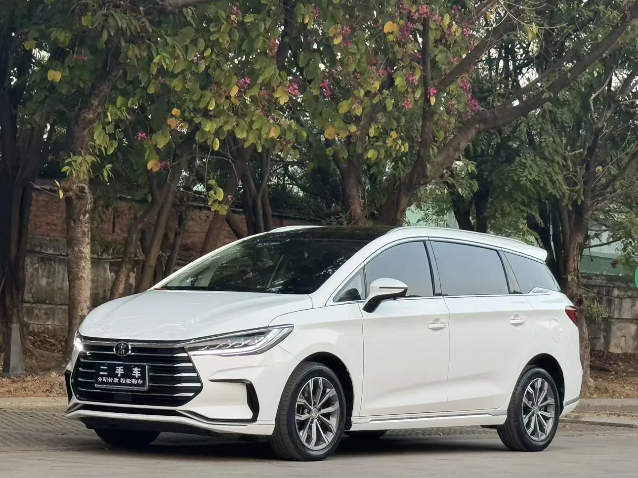 BYD Song MAX  из Китая