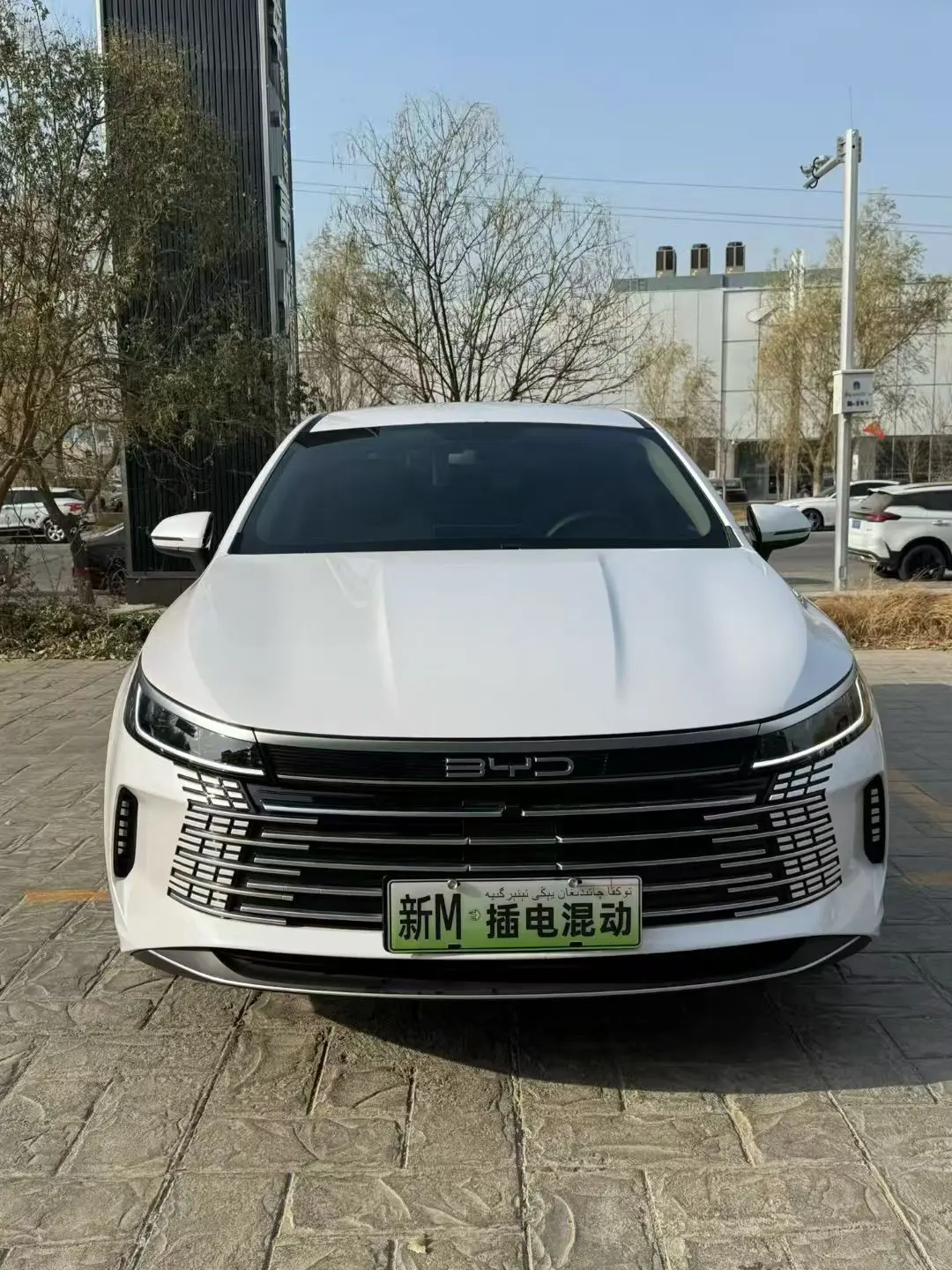 BYD Destroyer 05  из Китая