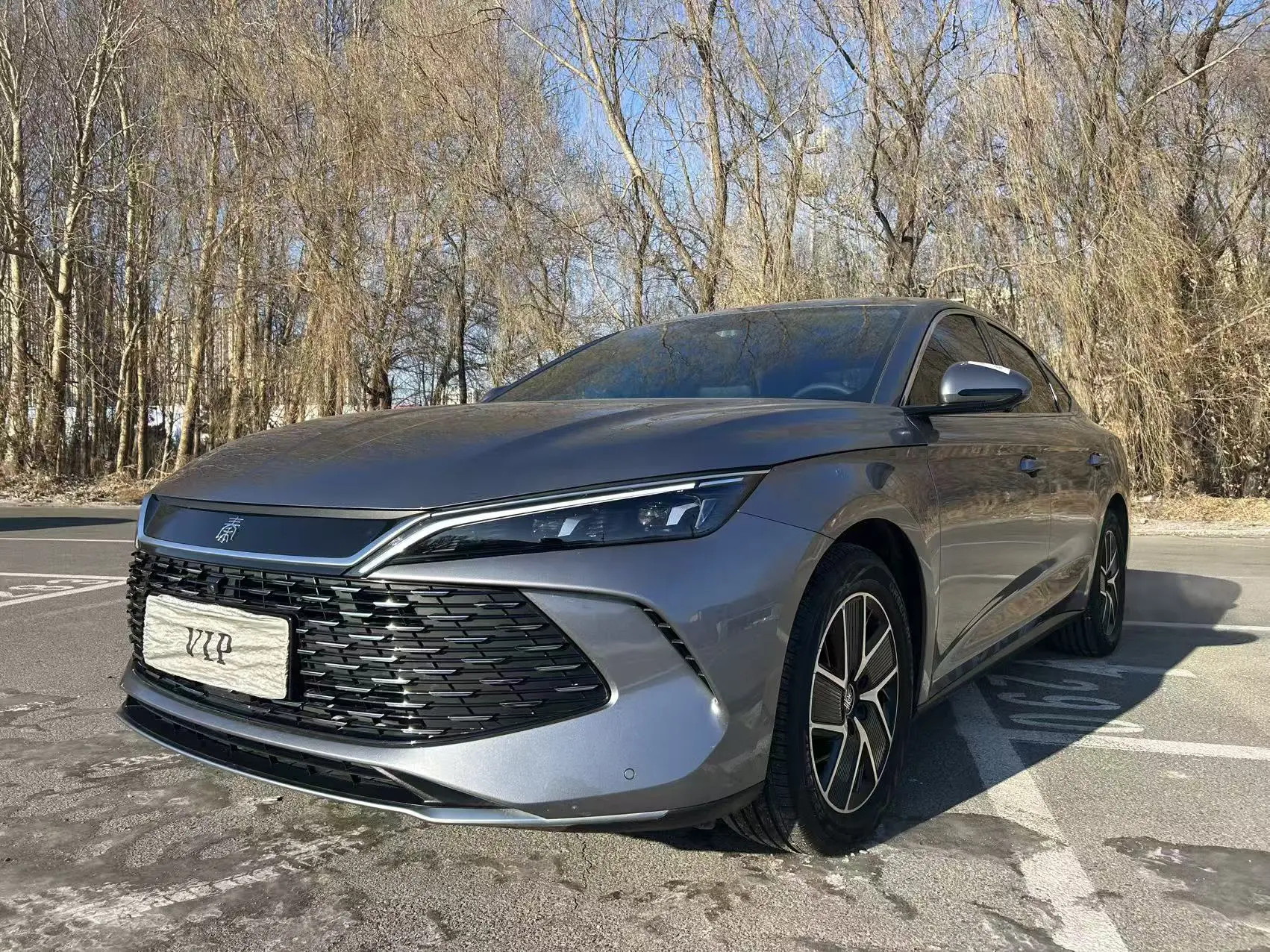 BYD Qin L DM  из Китая