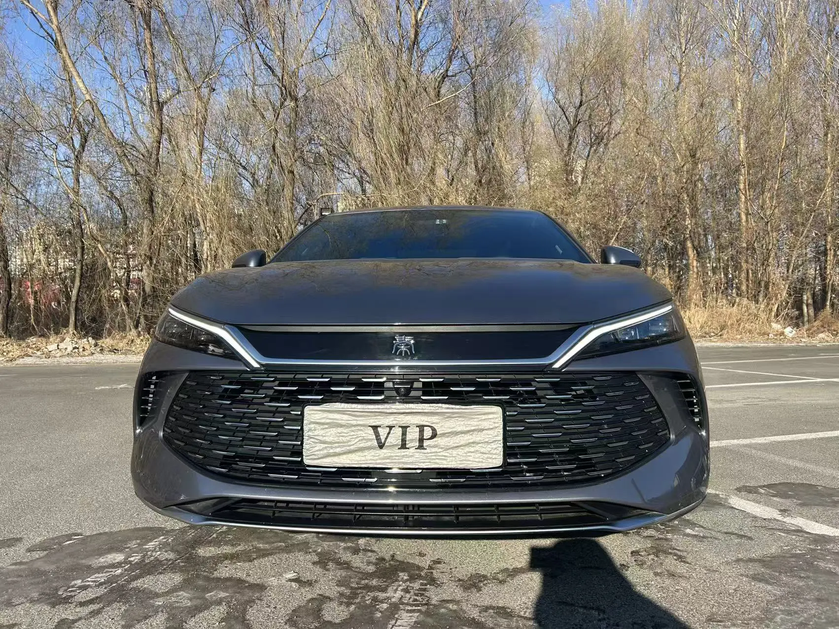 BYD Qin L DM  из Китая