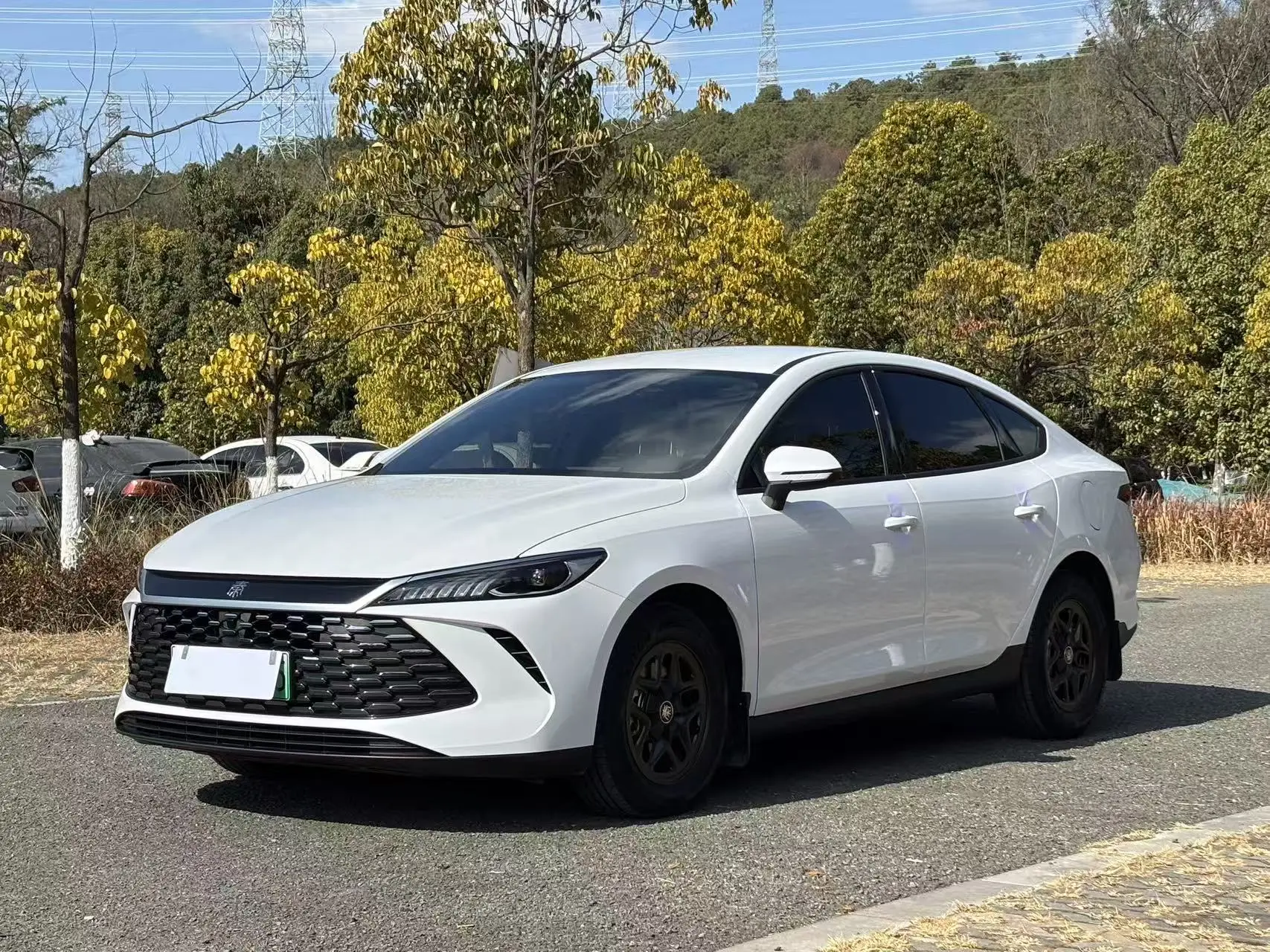 BYD Qin PLUS DM  из Китая