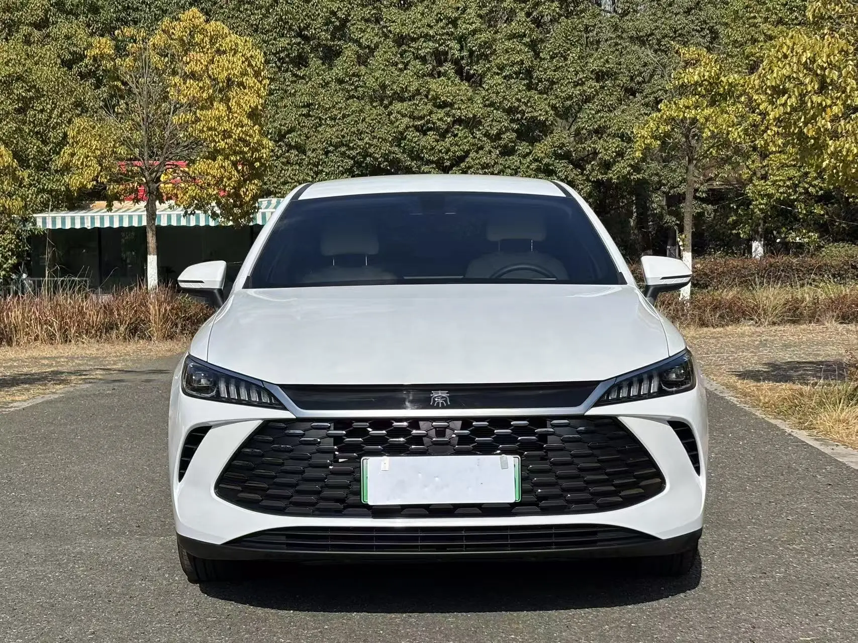 BYD Qin PLUS DM  из Китая