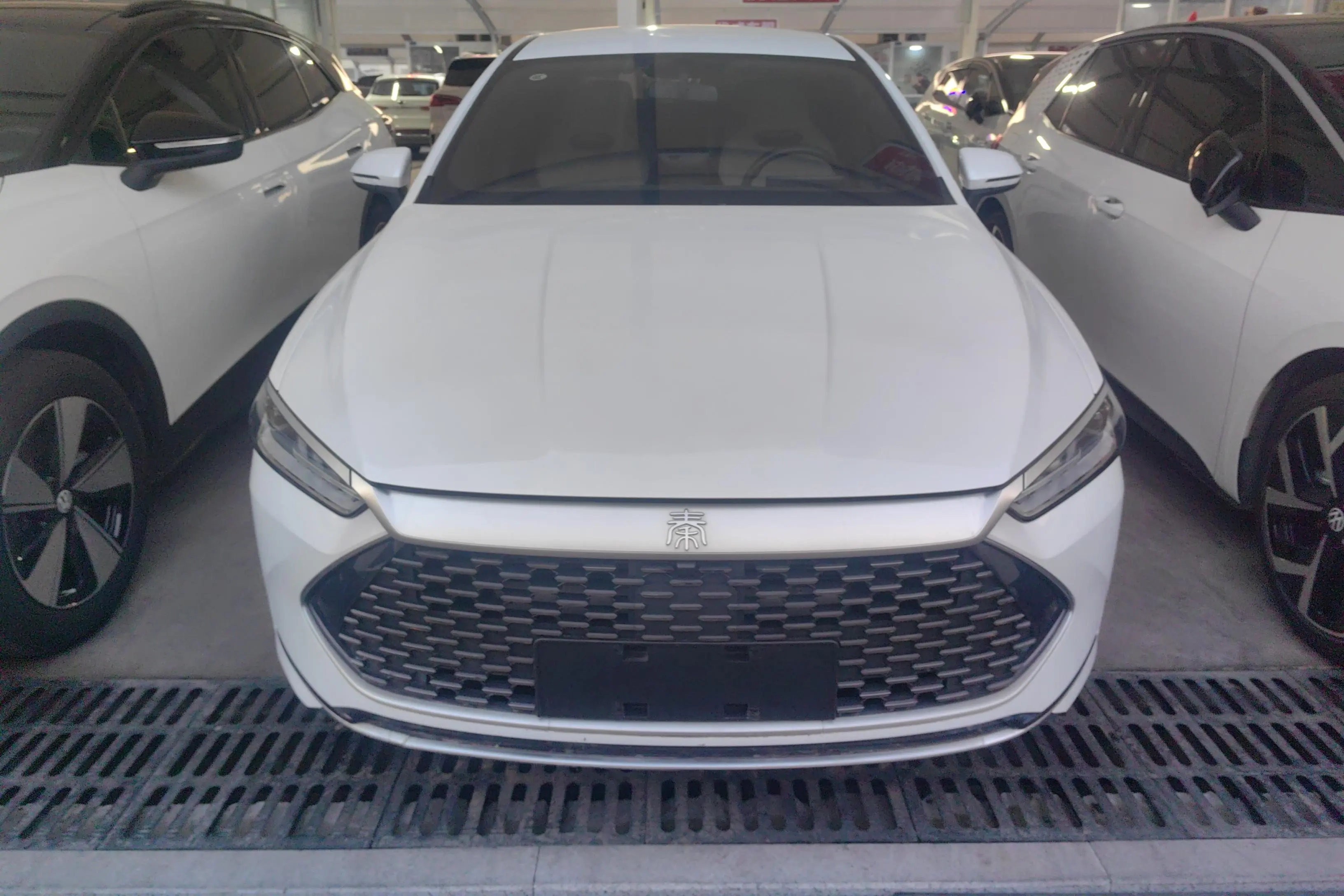 BYD Qin PLUS DM  из Китая