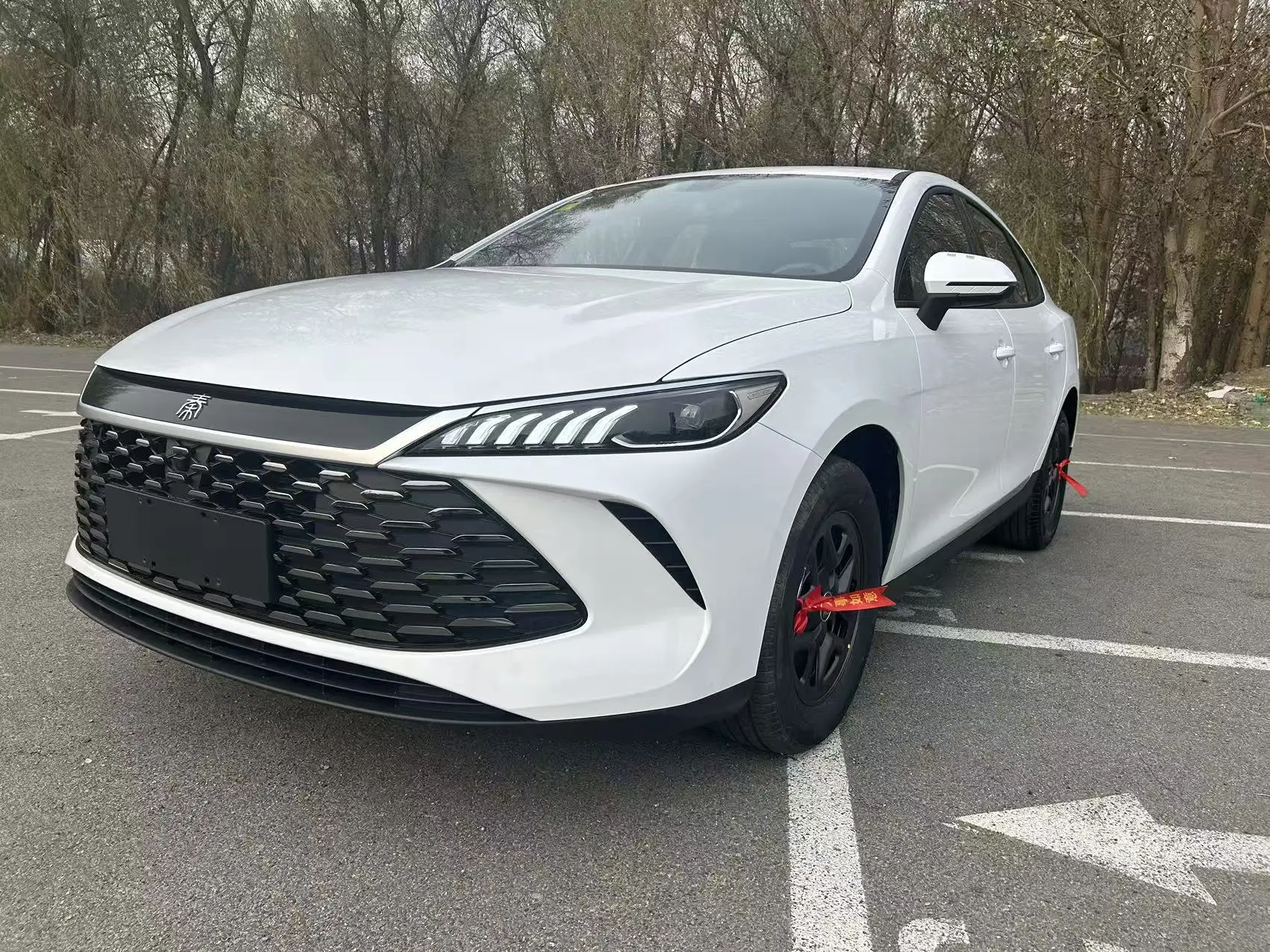 BYD Qin PLUS DM  из Китая