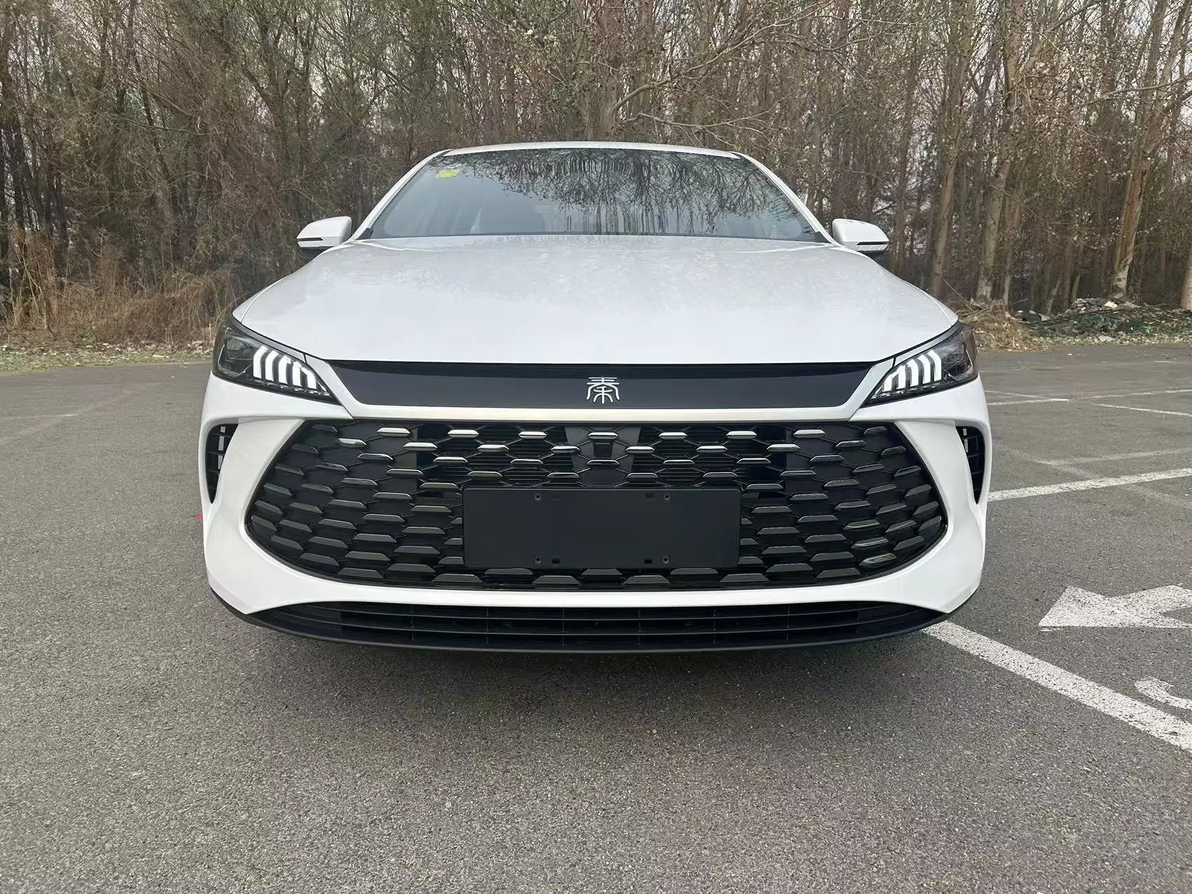 BYD Qin PLUS DM  из Китая