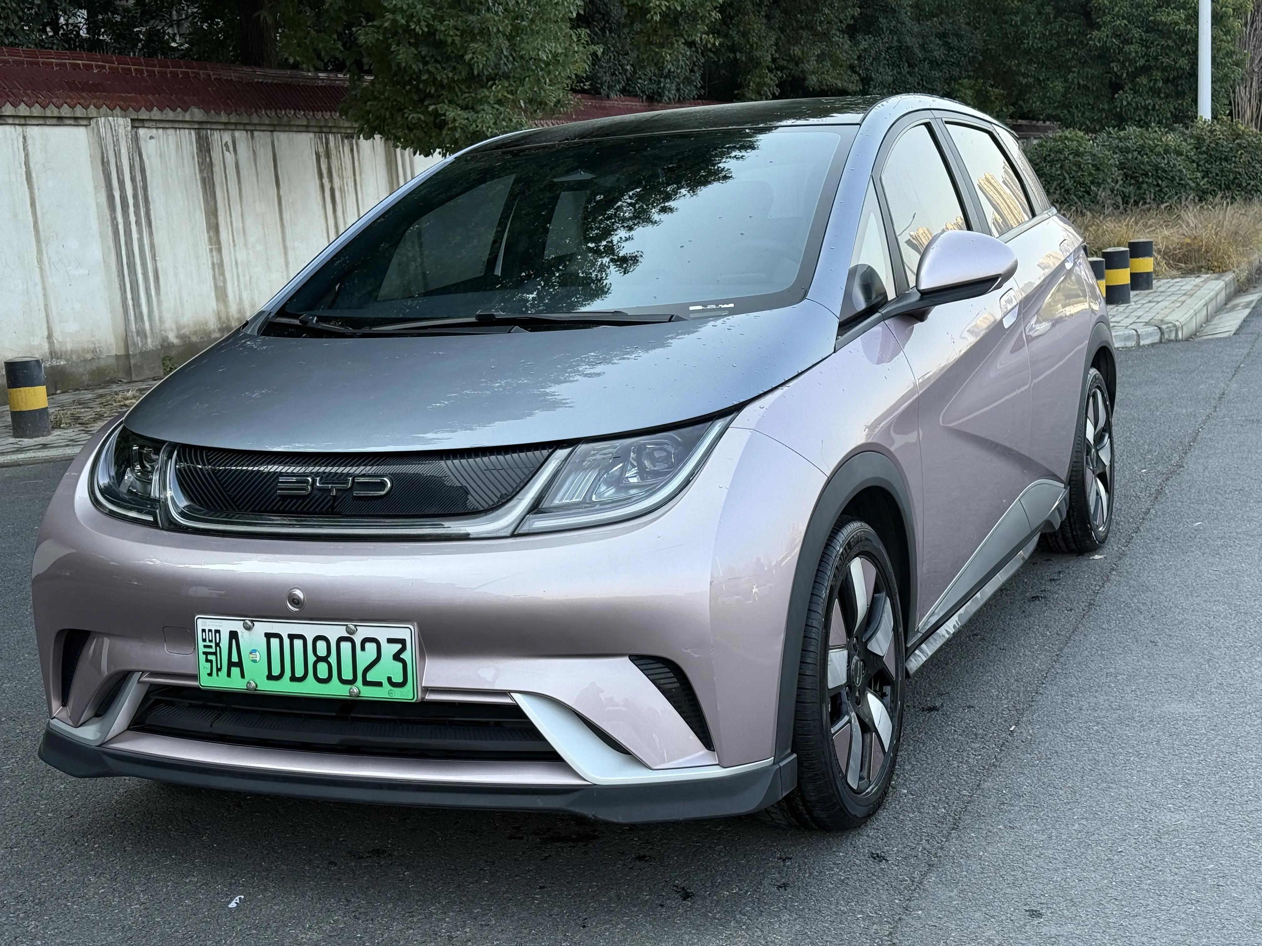 BYD Dolphin  из Китая