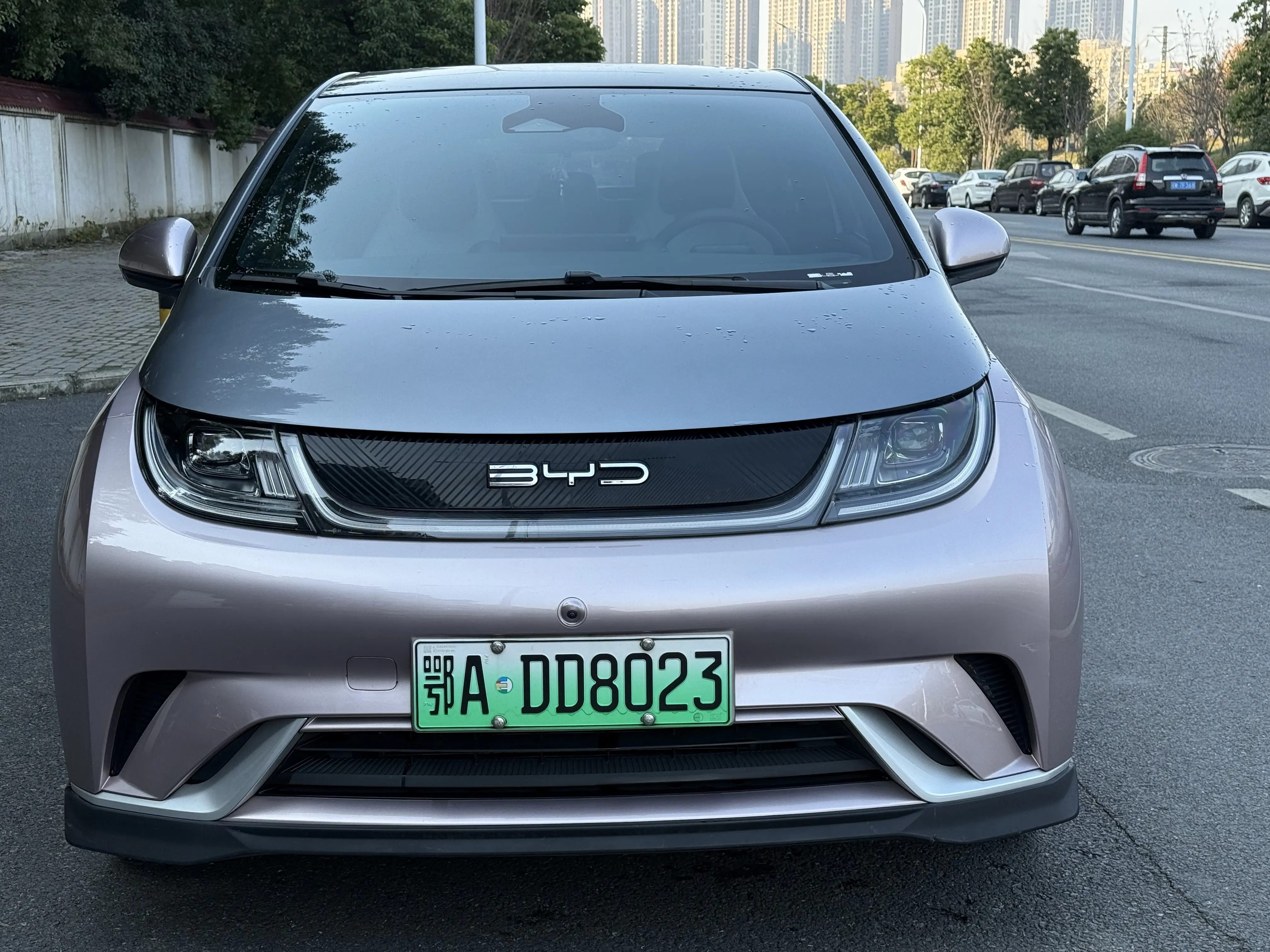 BYD Dolphin  из Китая