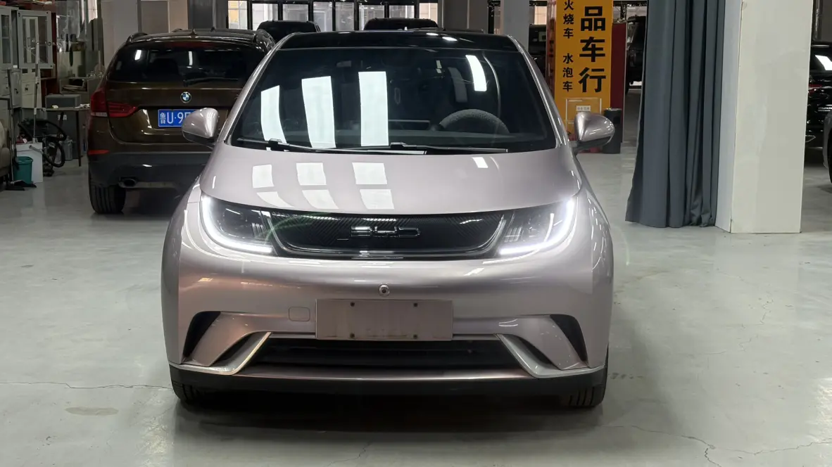 BYD Dolphin  из Китая