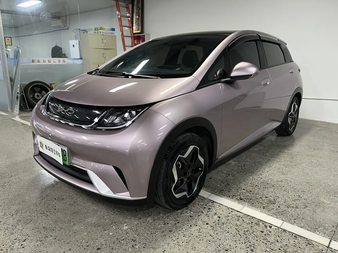 BYD Dolphin  из Китая