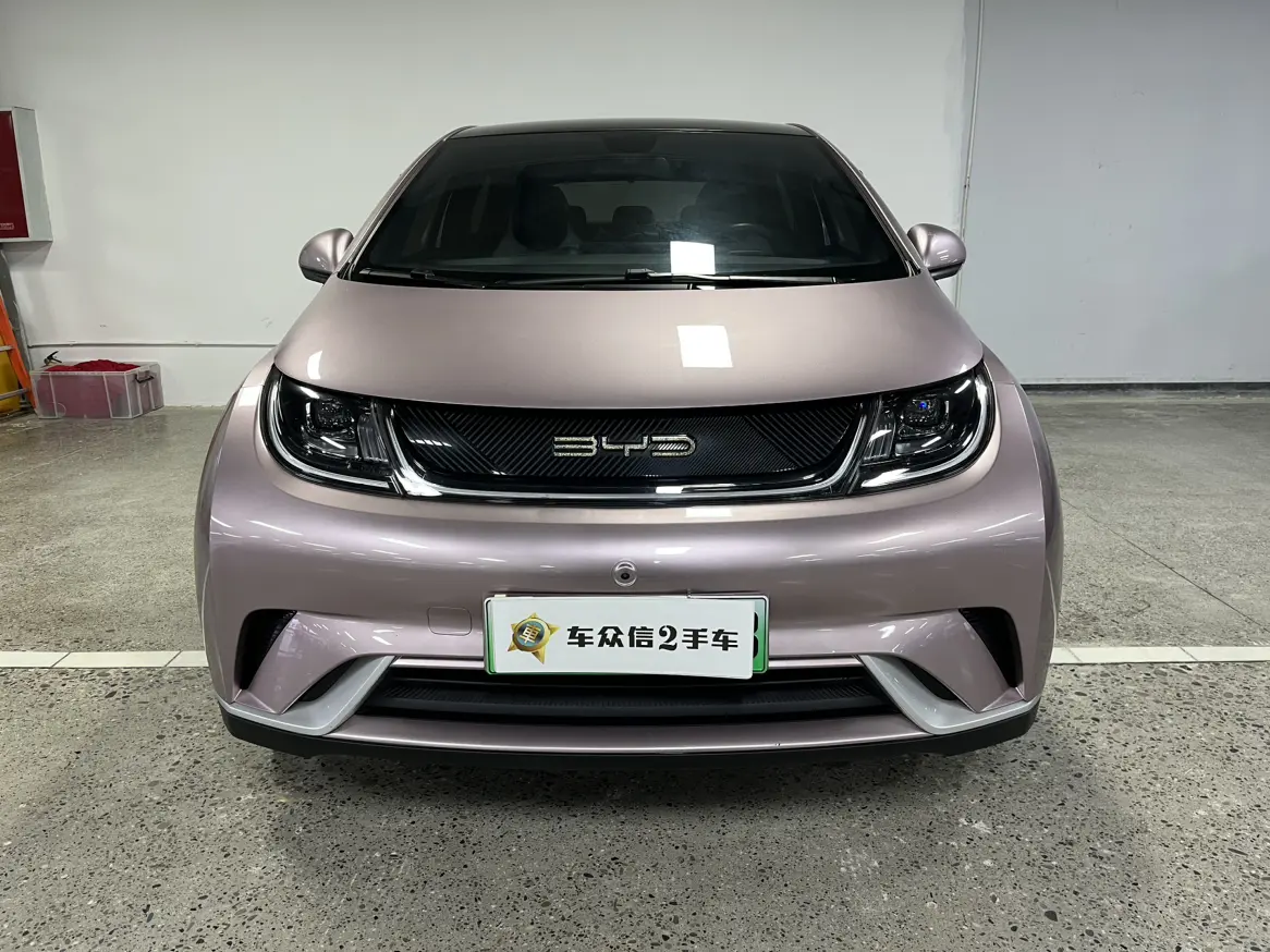 BYD Dolphin  из Китая