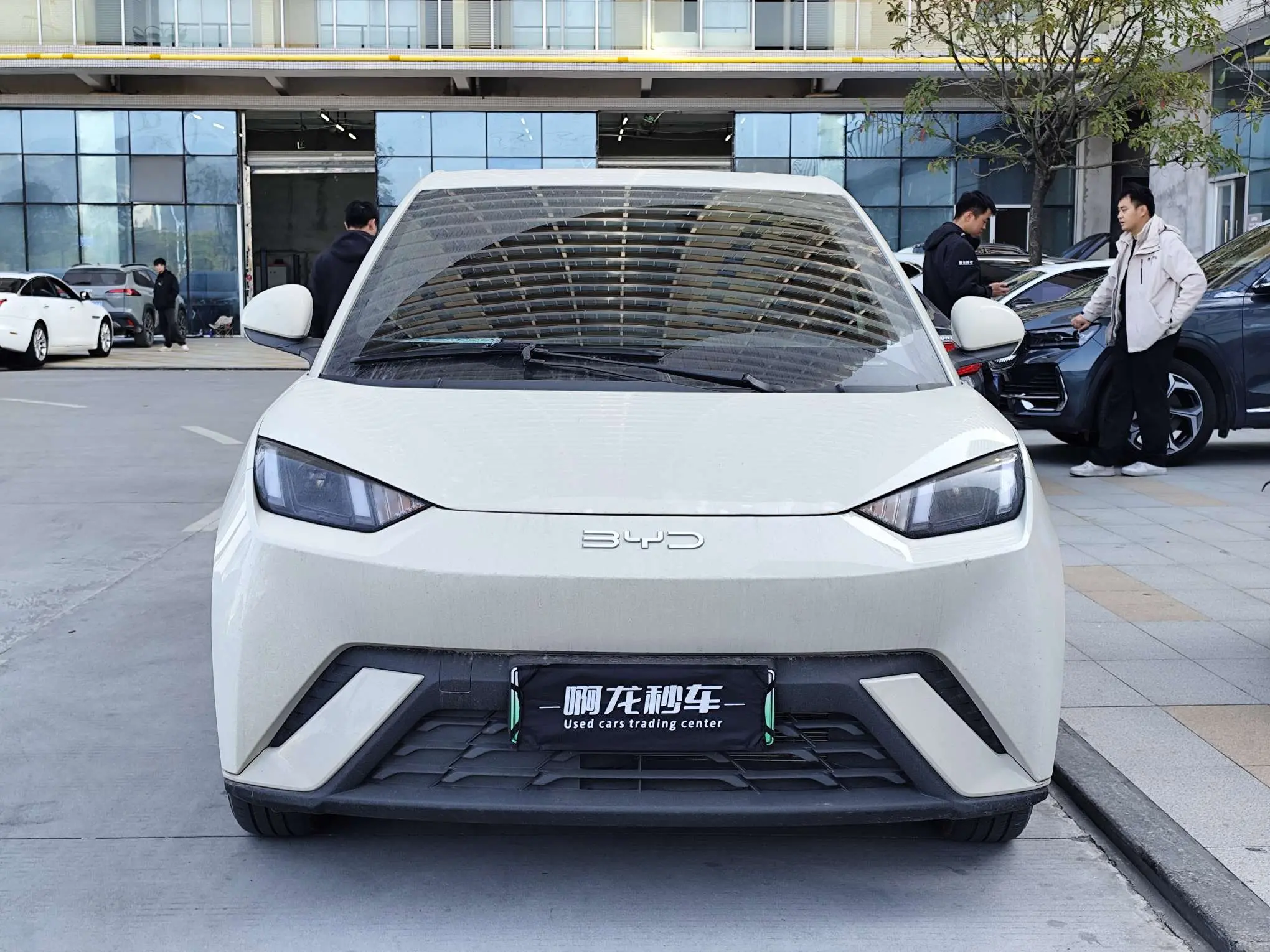 BYD Seagull  из Китая