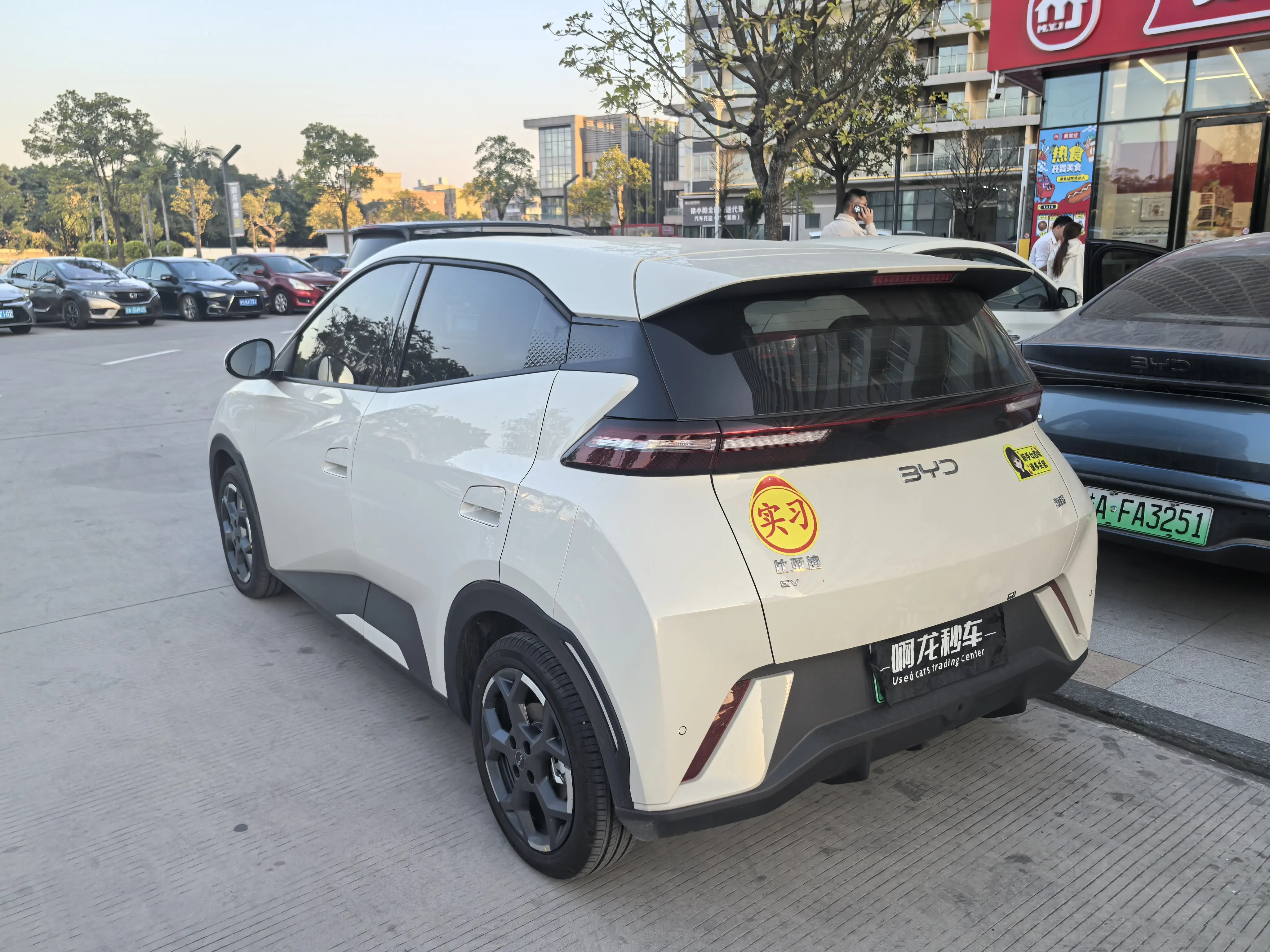 BYD Seagull  из Китая