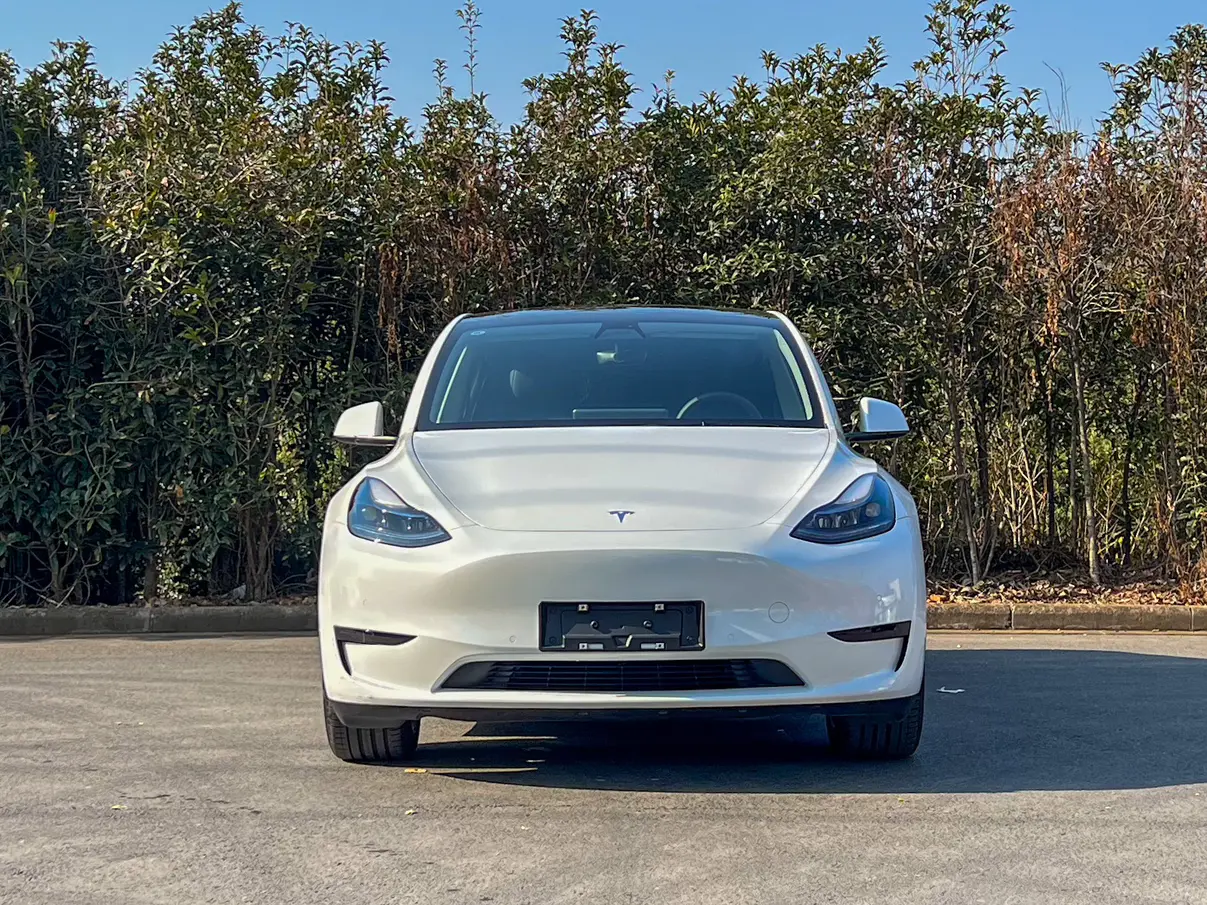 Tesla Model Y  из Китая
