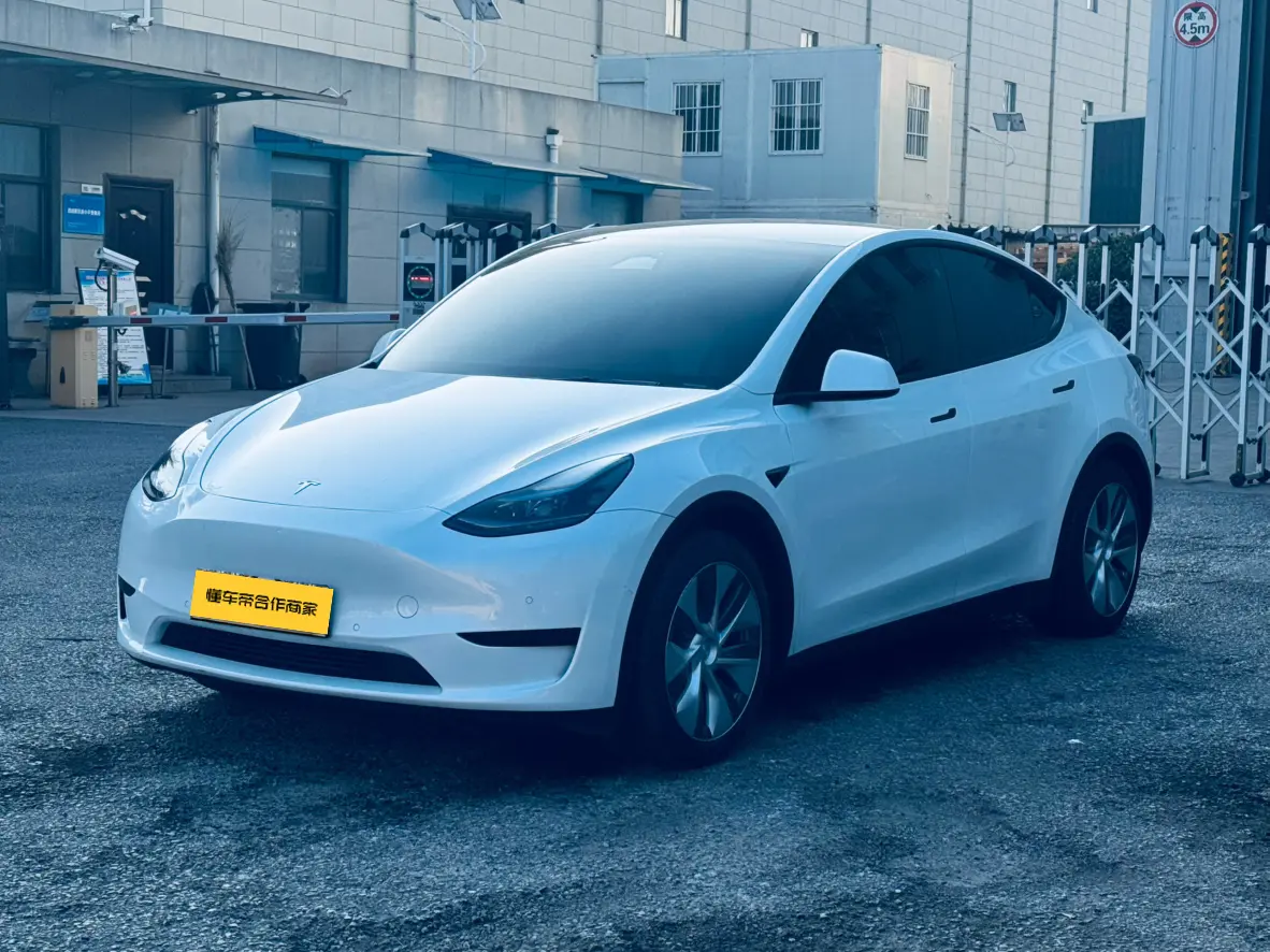 Tesla Model Y  из Китая