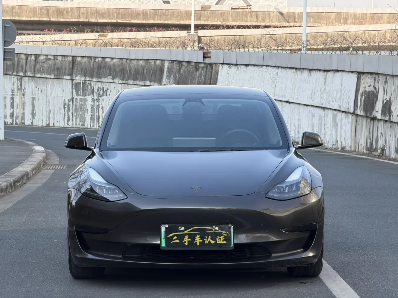 Tesla Model 3  из Китая