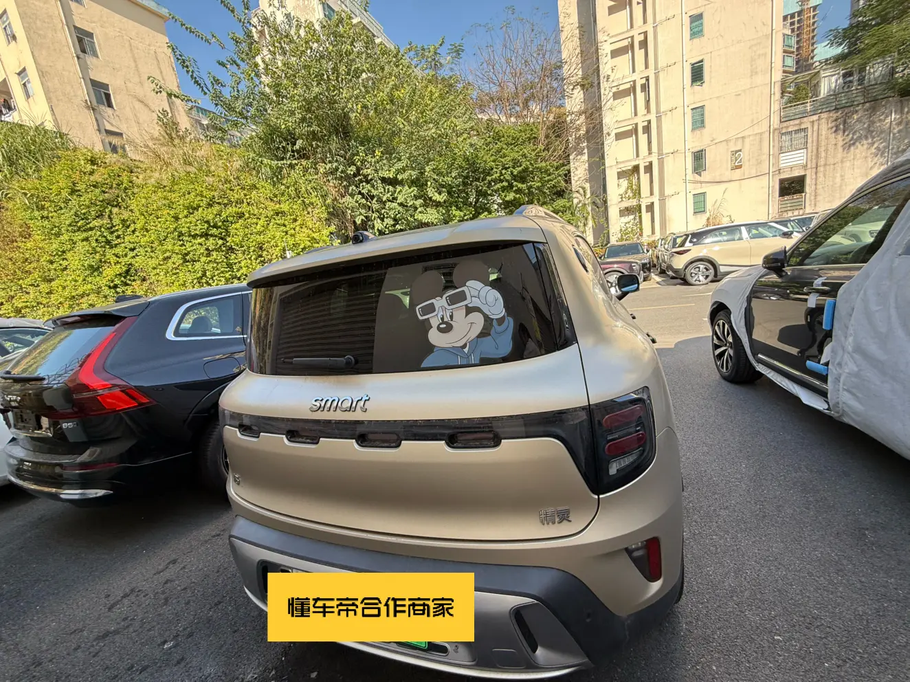 Smart Elf #5  из Китая