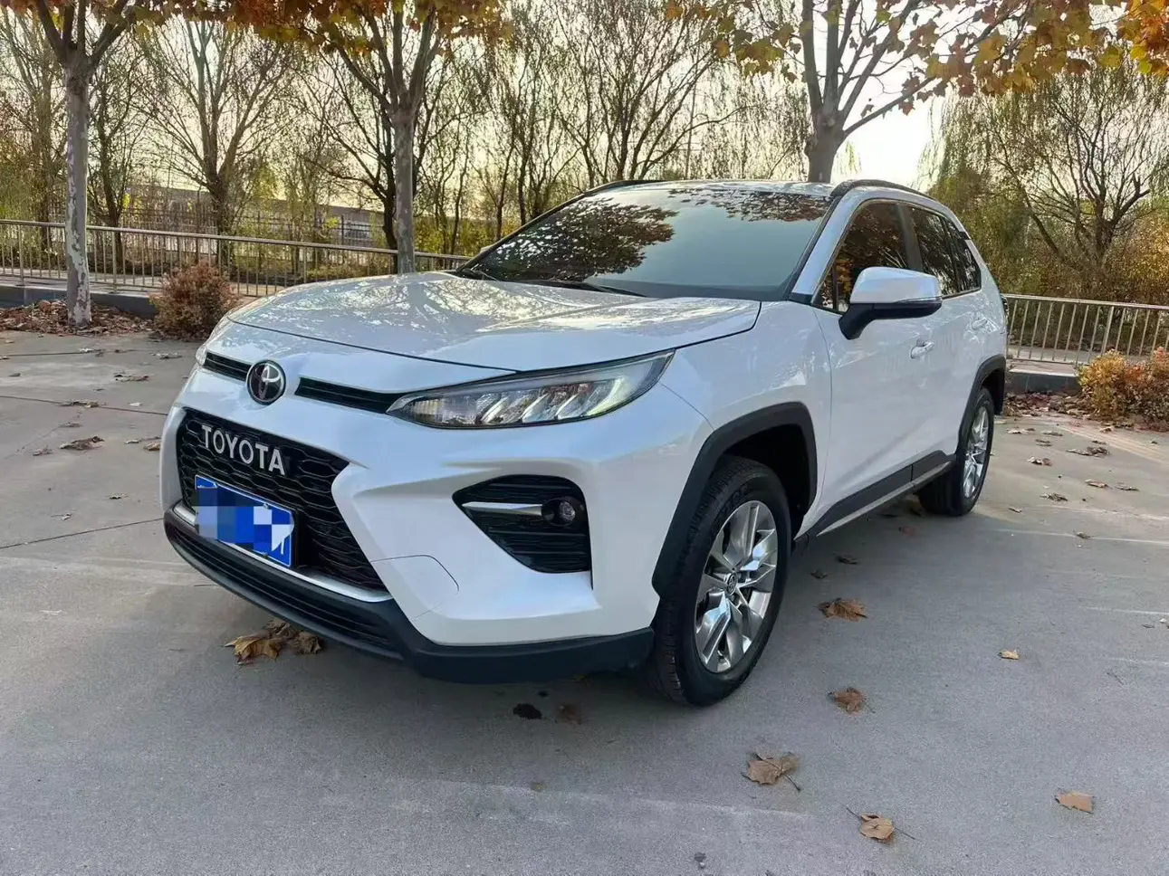 Toyota Willanda