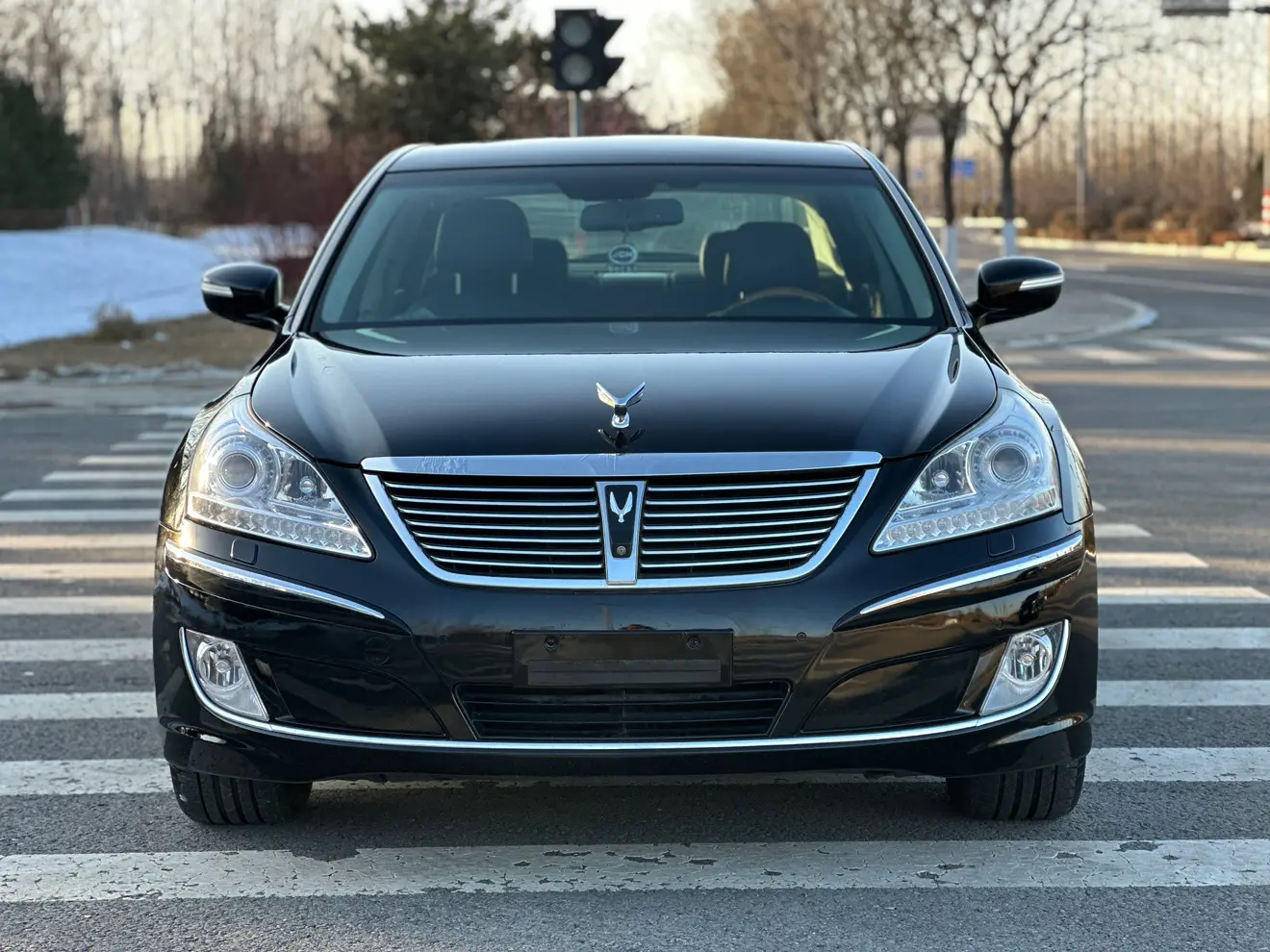 Hyundai Equus  из Китая