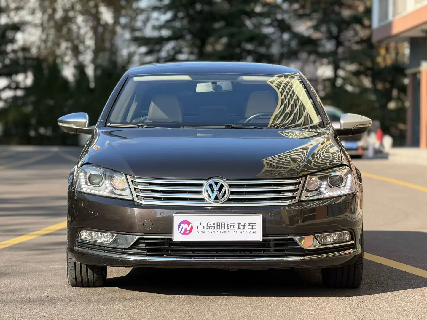 Volkswagen Magotan  из Китая