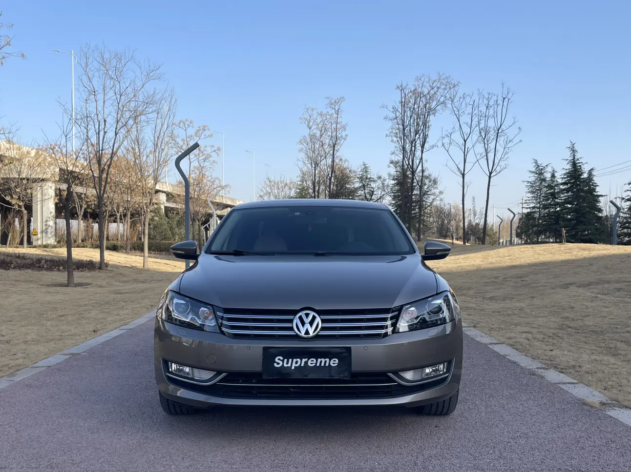 Volkswagen Passat  из Китая
