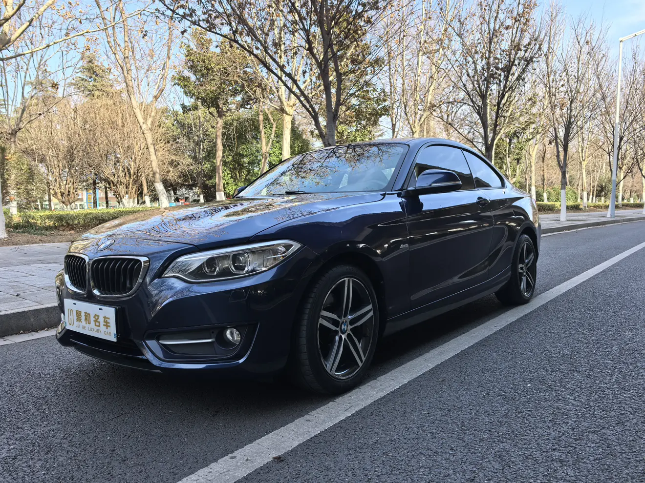 BMW 2 Series  из Китая