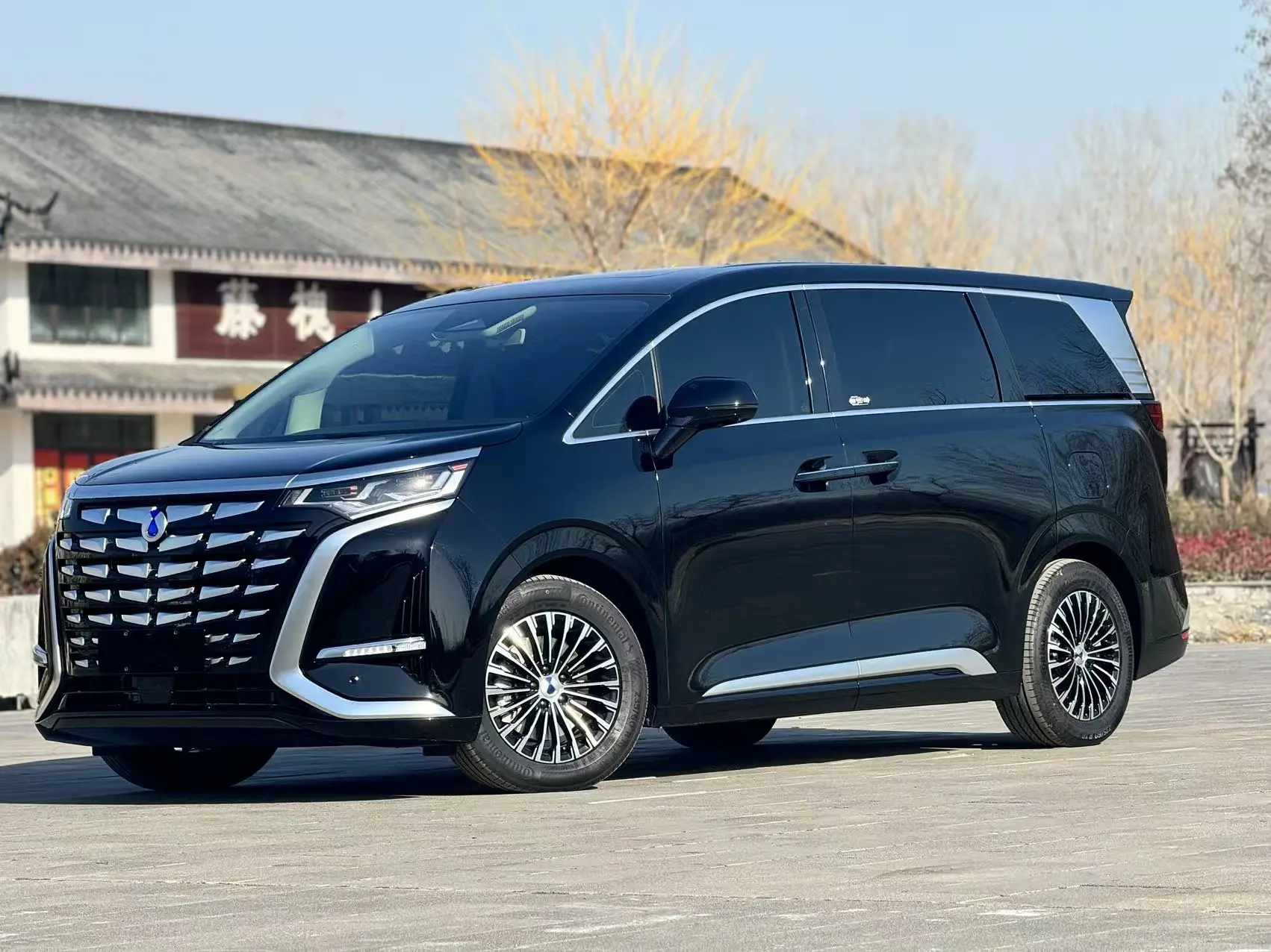 Denza D9 DM  из Китая