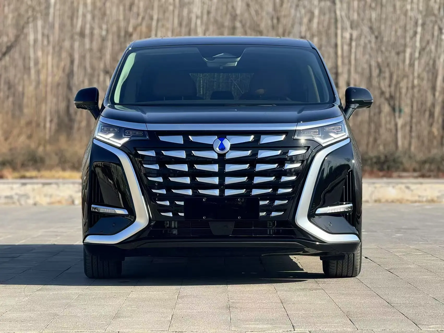 Denza D9 DM  из Китая