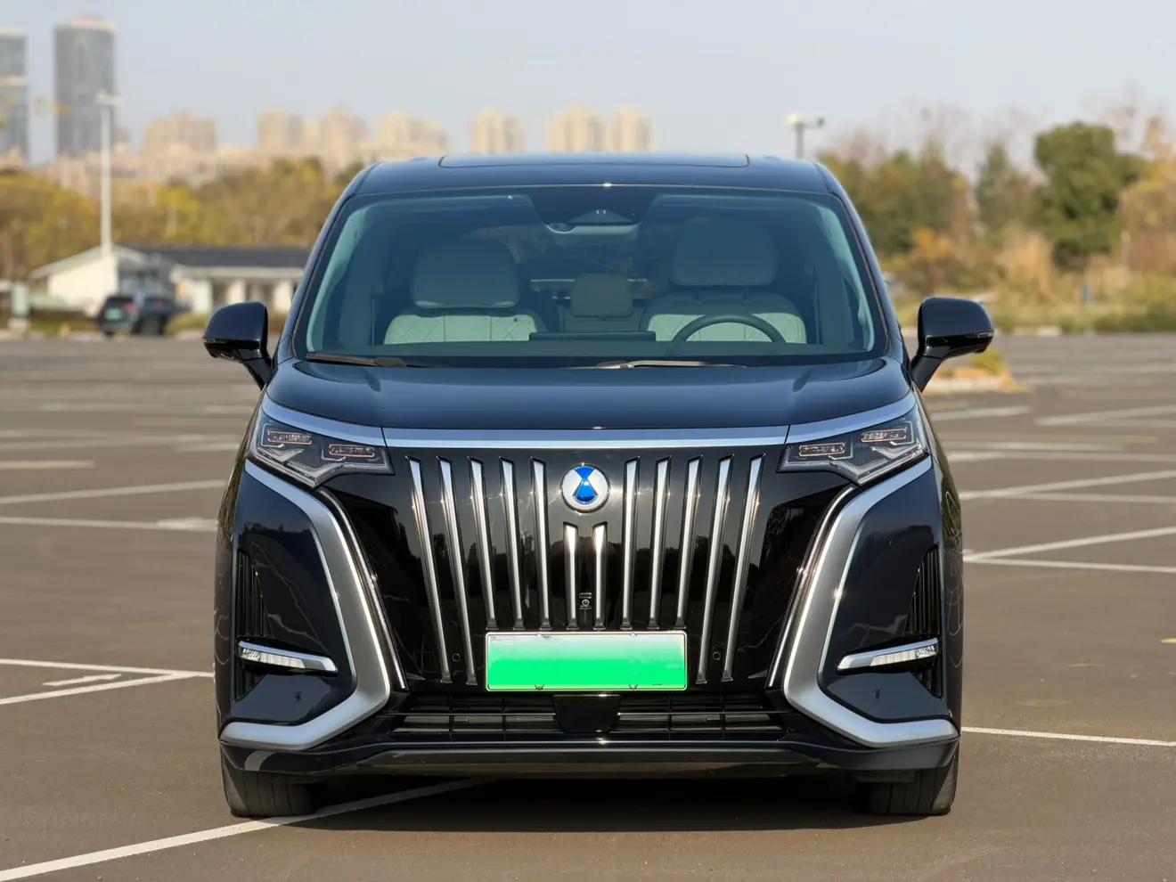 Denza D9 EV  из Китая