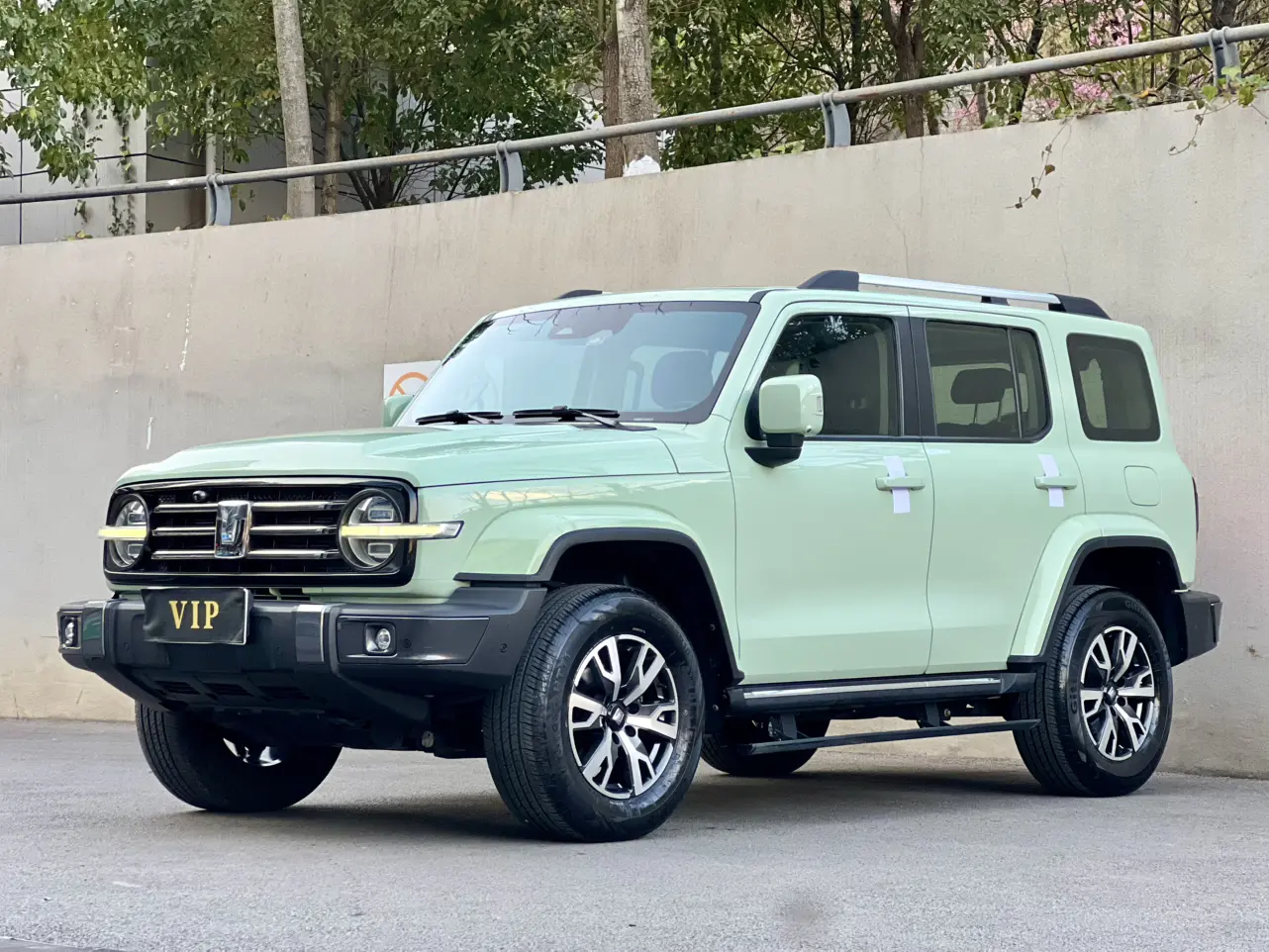 Tank 300  из Китая