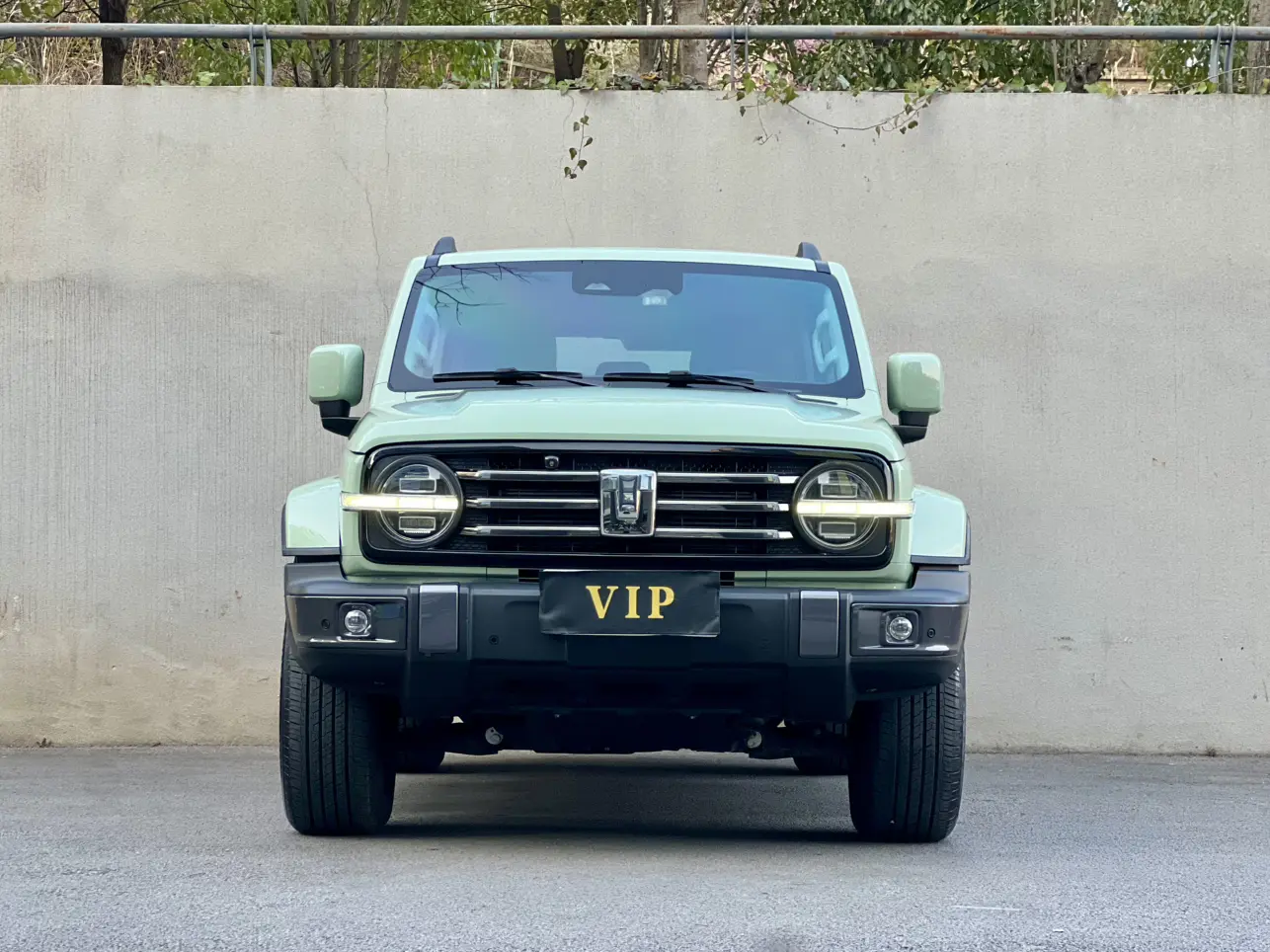 Tank 300  из Китая