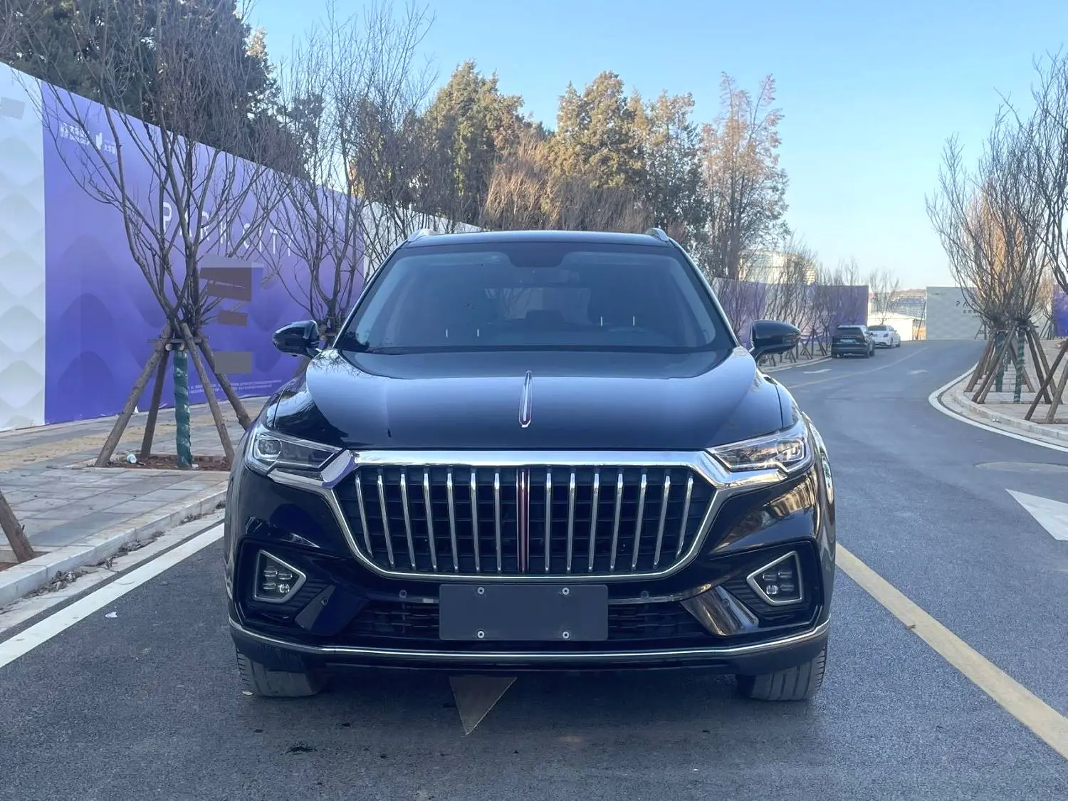 Hongqi HS5  из Китая