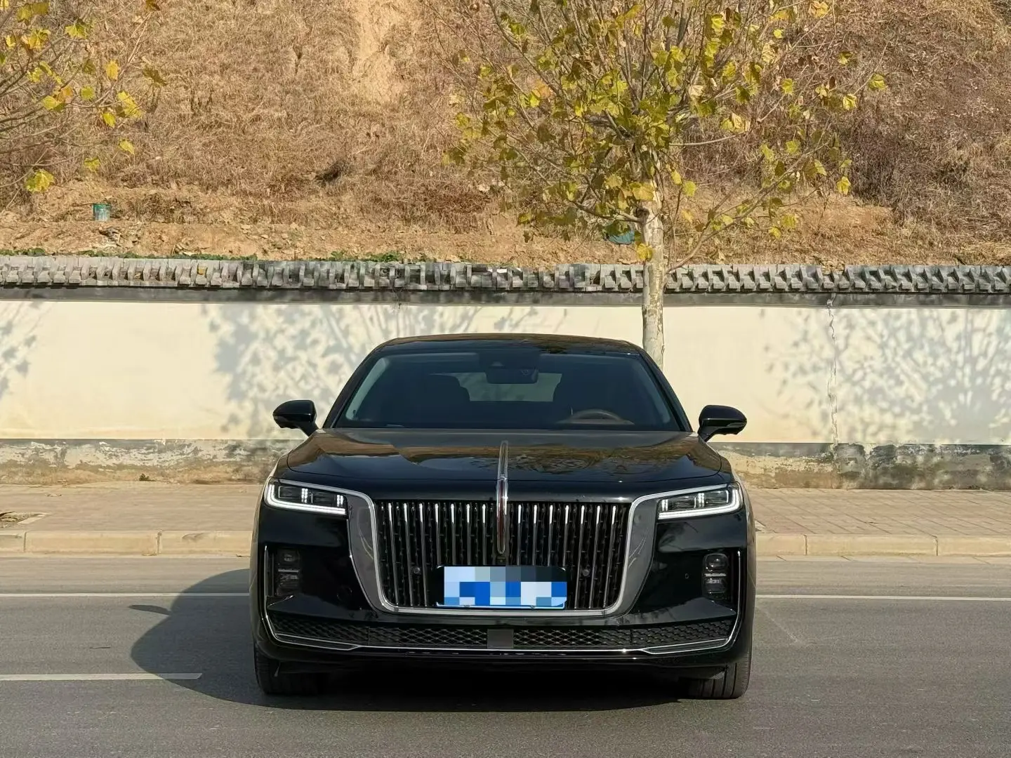 Hongqi H9  из Китая