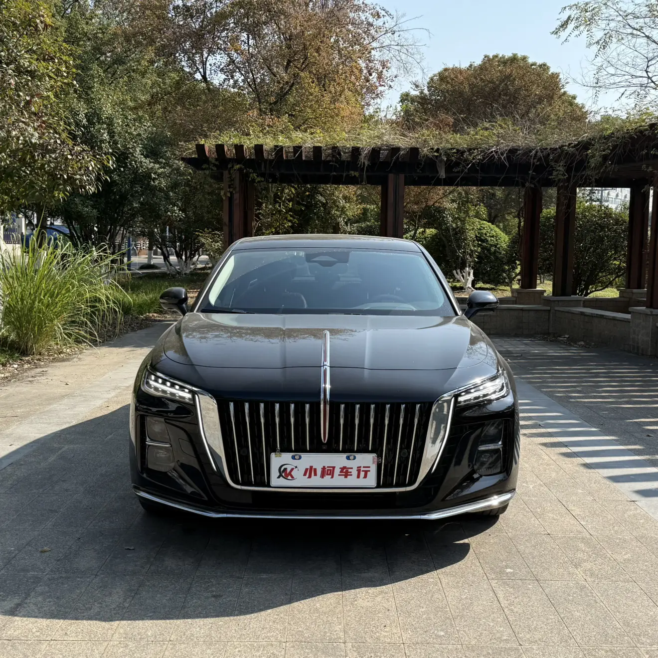 Hongqi H5  из Китая