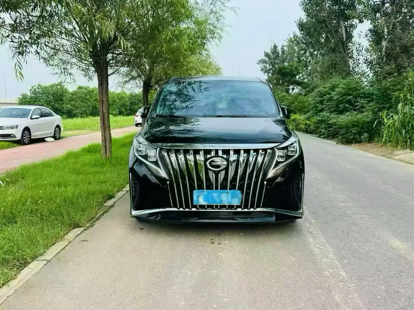 GAC Trumpchi M8  из Китая