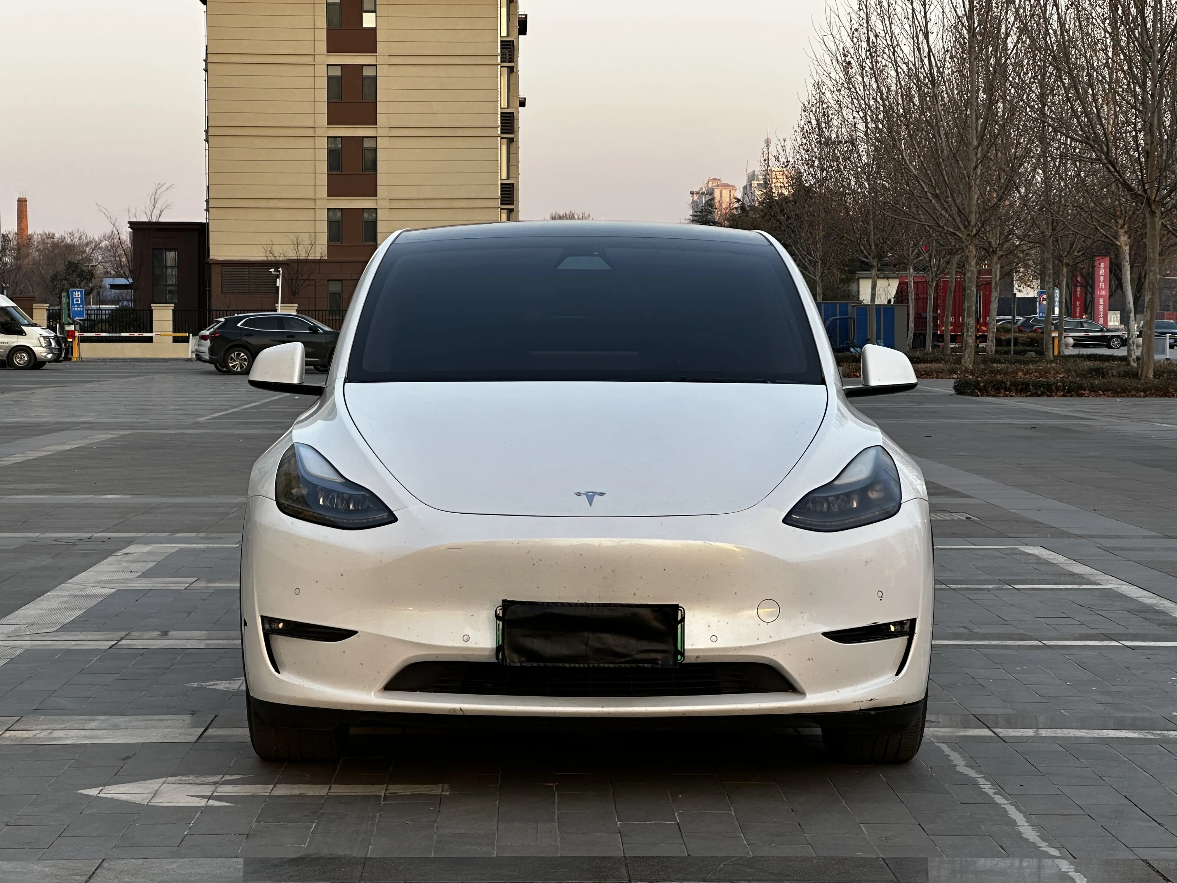 Tesla Model Y  из Китая