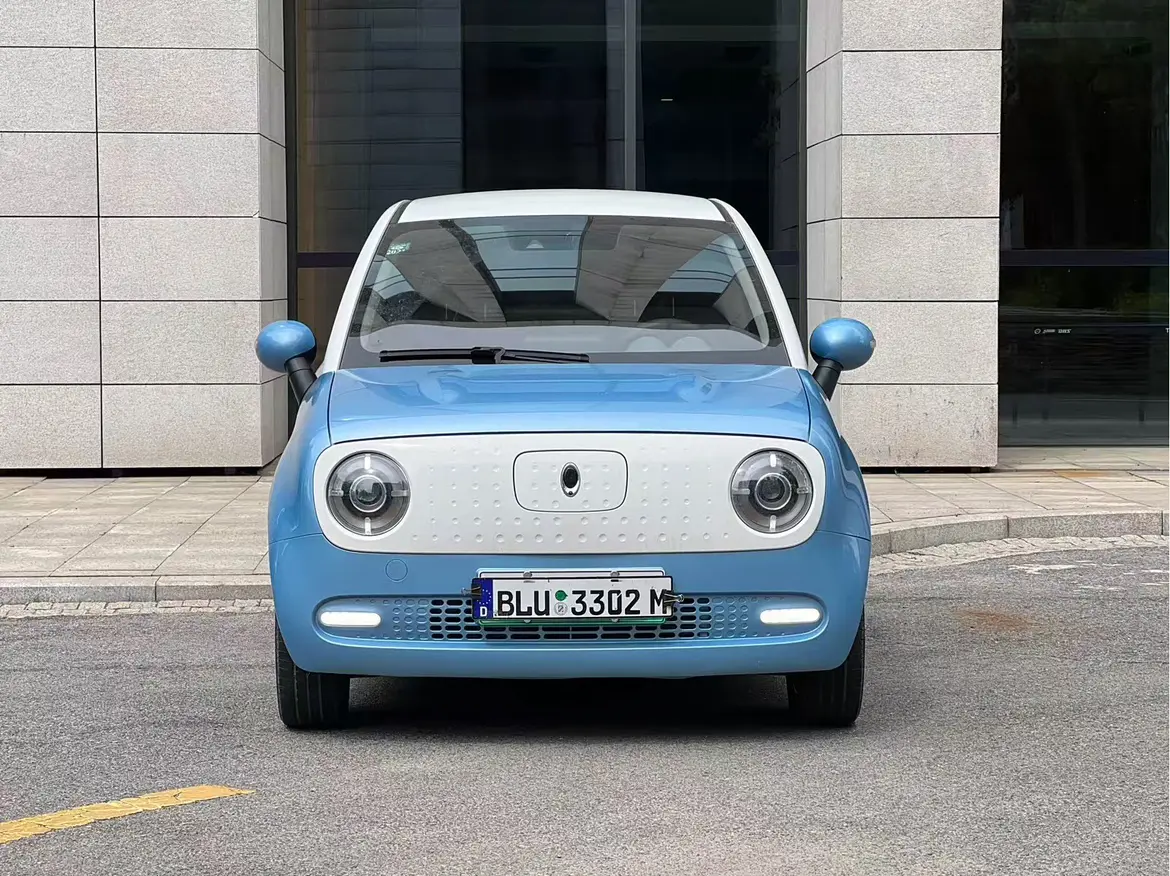 ORA Euler black cat  из Китая