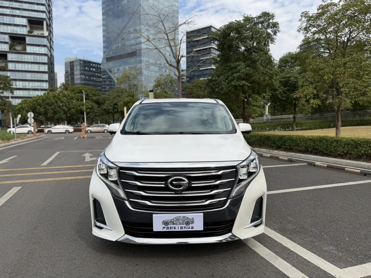 GAC Trumpchi M8  из Китая