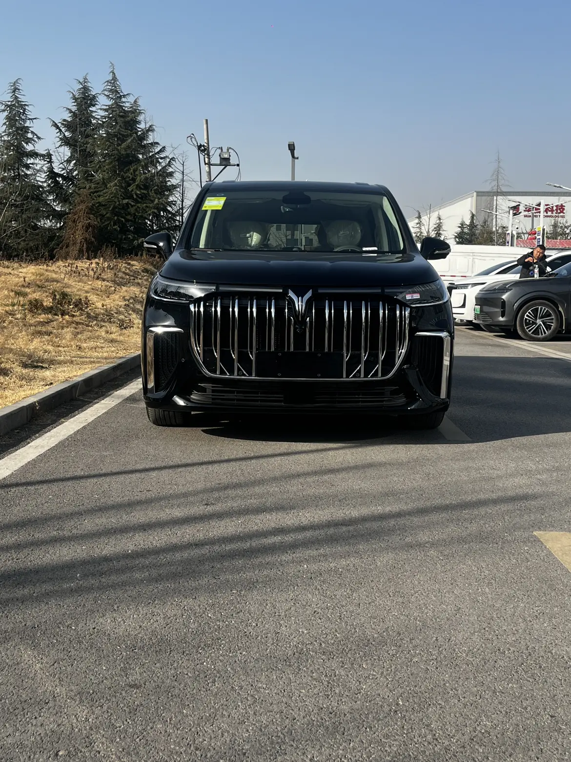 Voyah Lantu Dreamer PHEV  из Китая