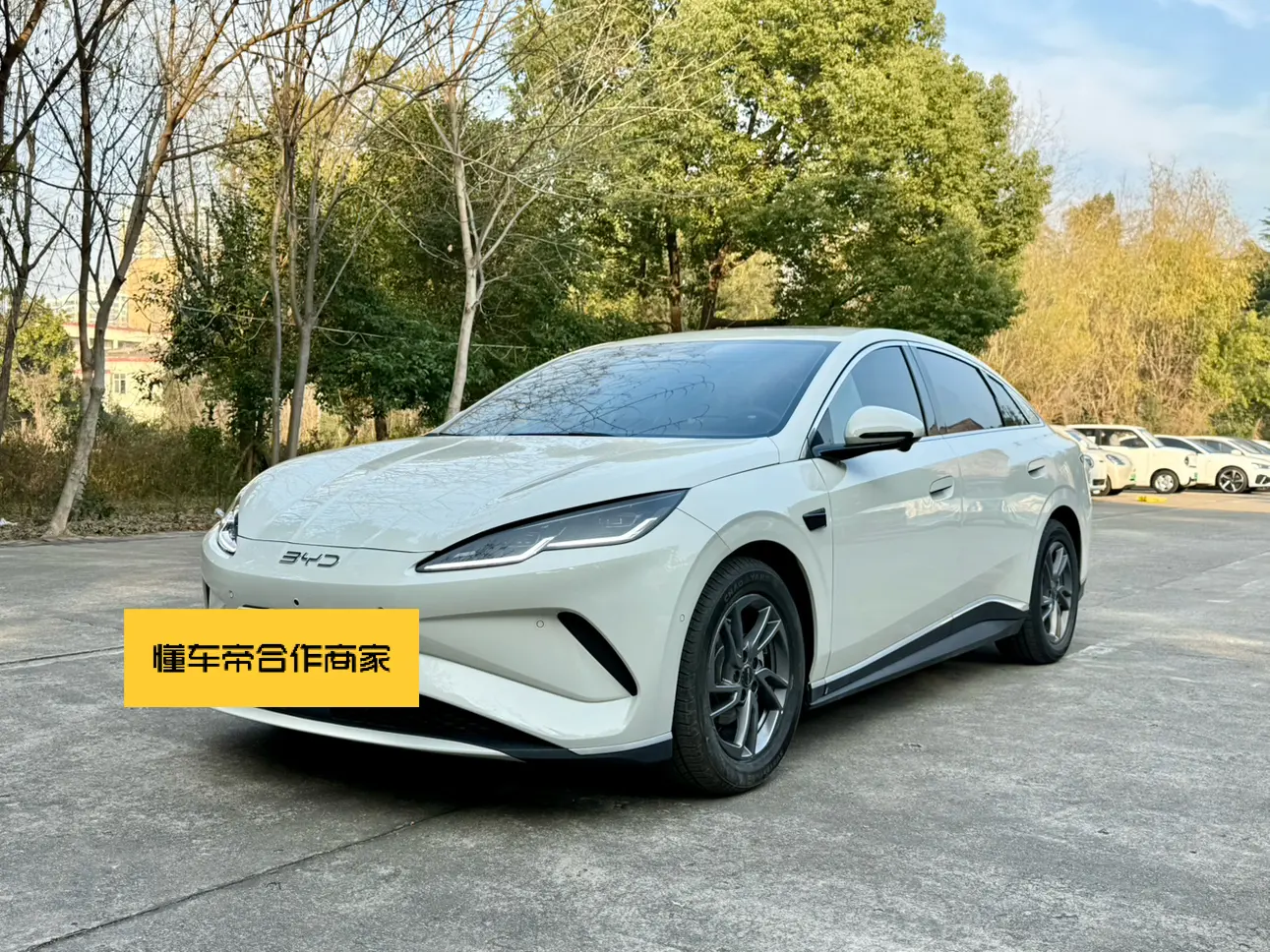 BYD Seal 06EV  из Китая