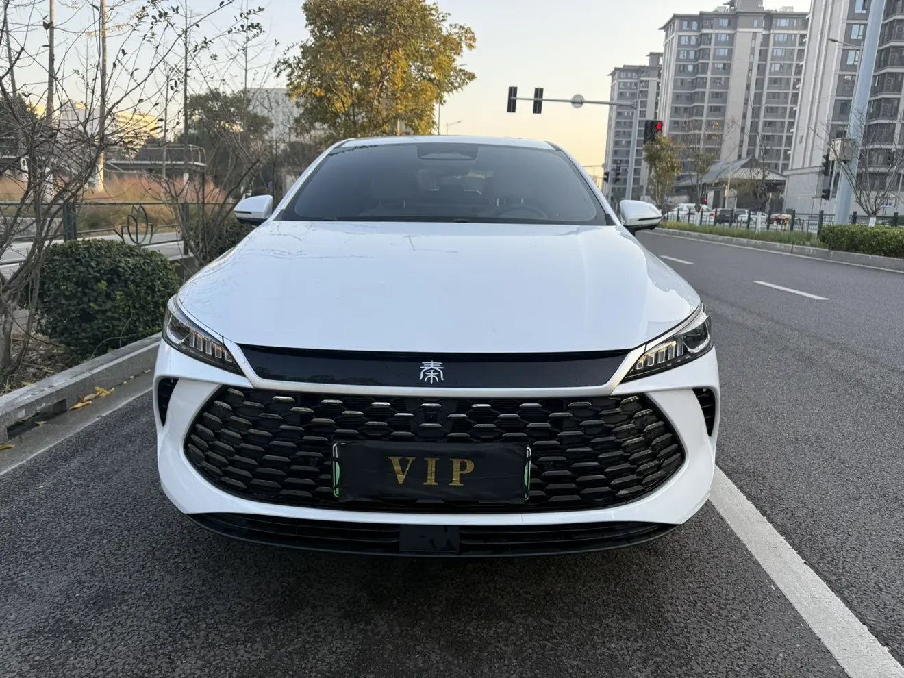 BYD Qin PLUS DM  из Китая