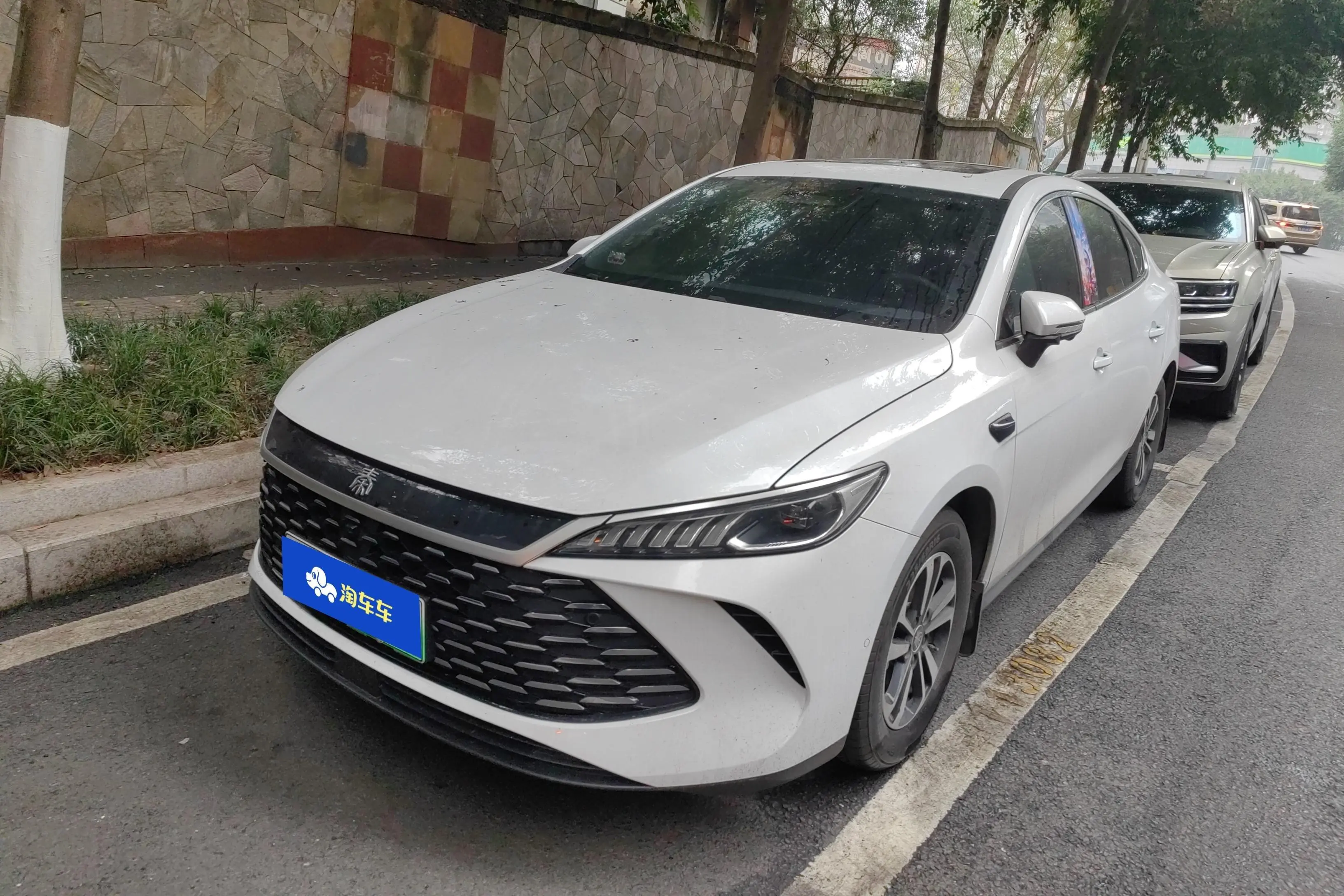 BYD Qin PLUS DM  из Китая