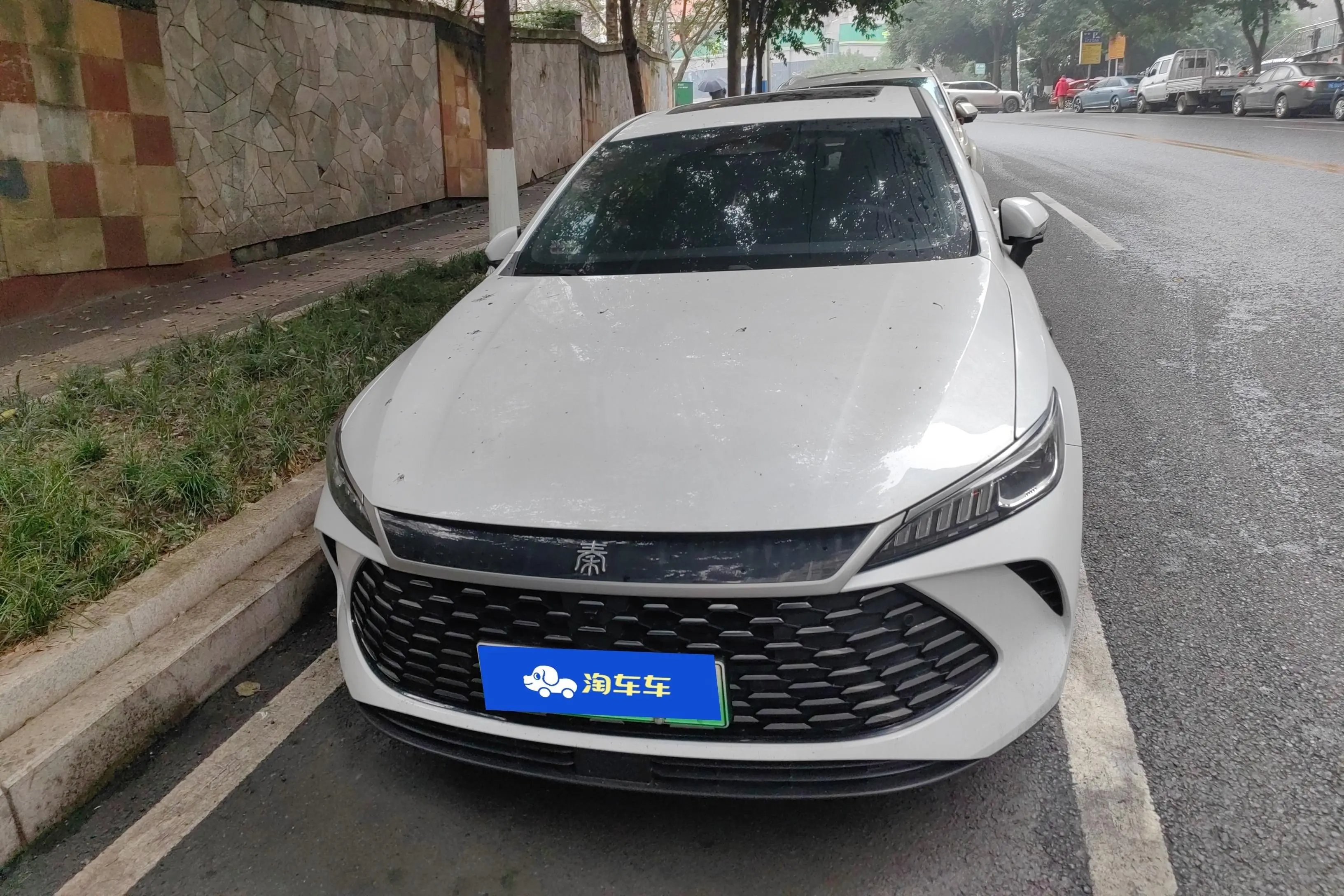BYD Qin PLUS DM  из Китая