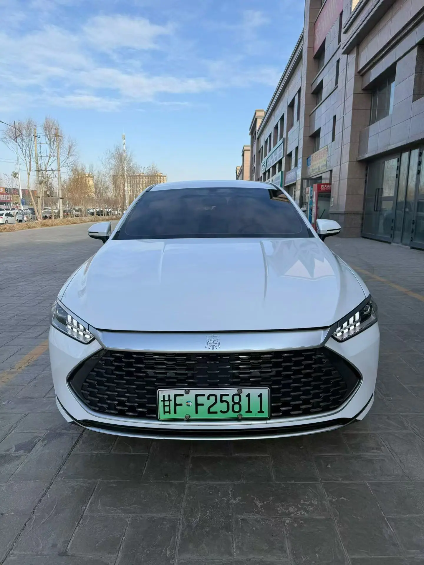 BYD Qin PLUS DM  из Китая
