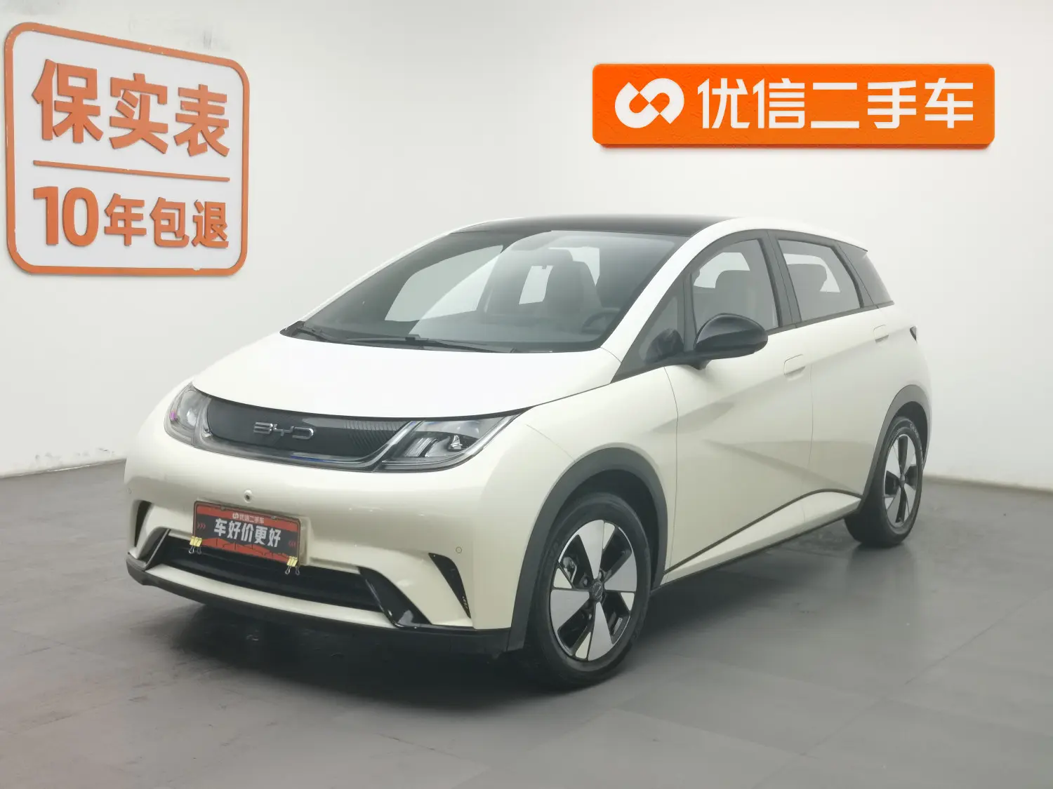 BYD Dolphin  из Китая