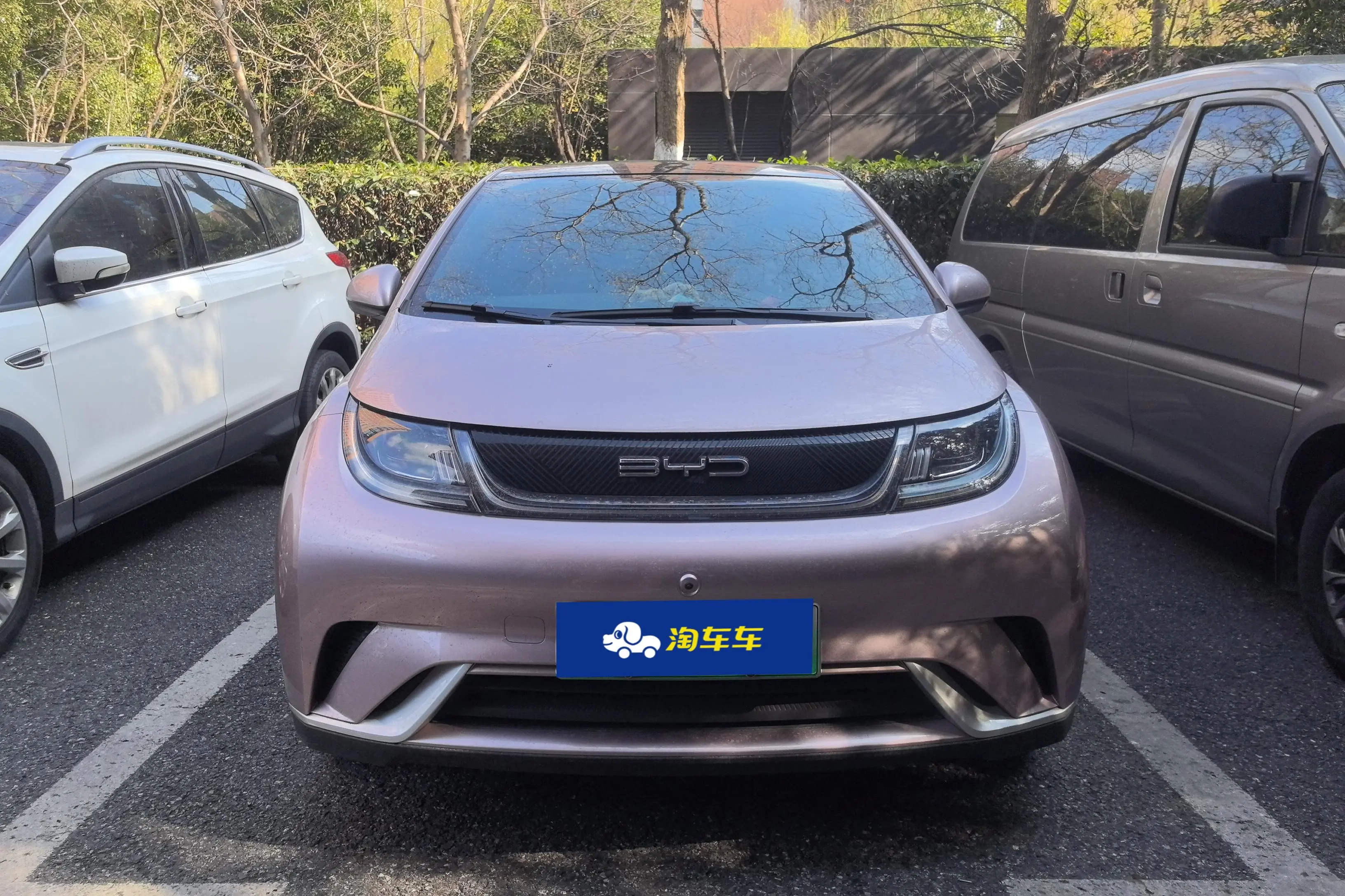 BYD Dolphin  из Китая