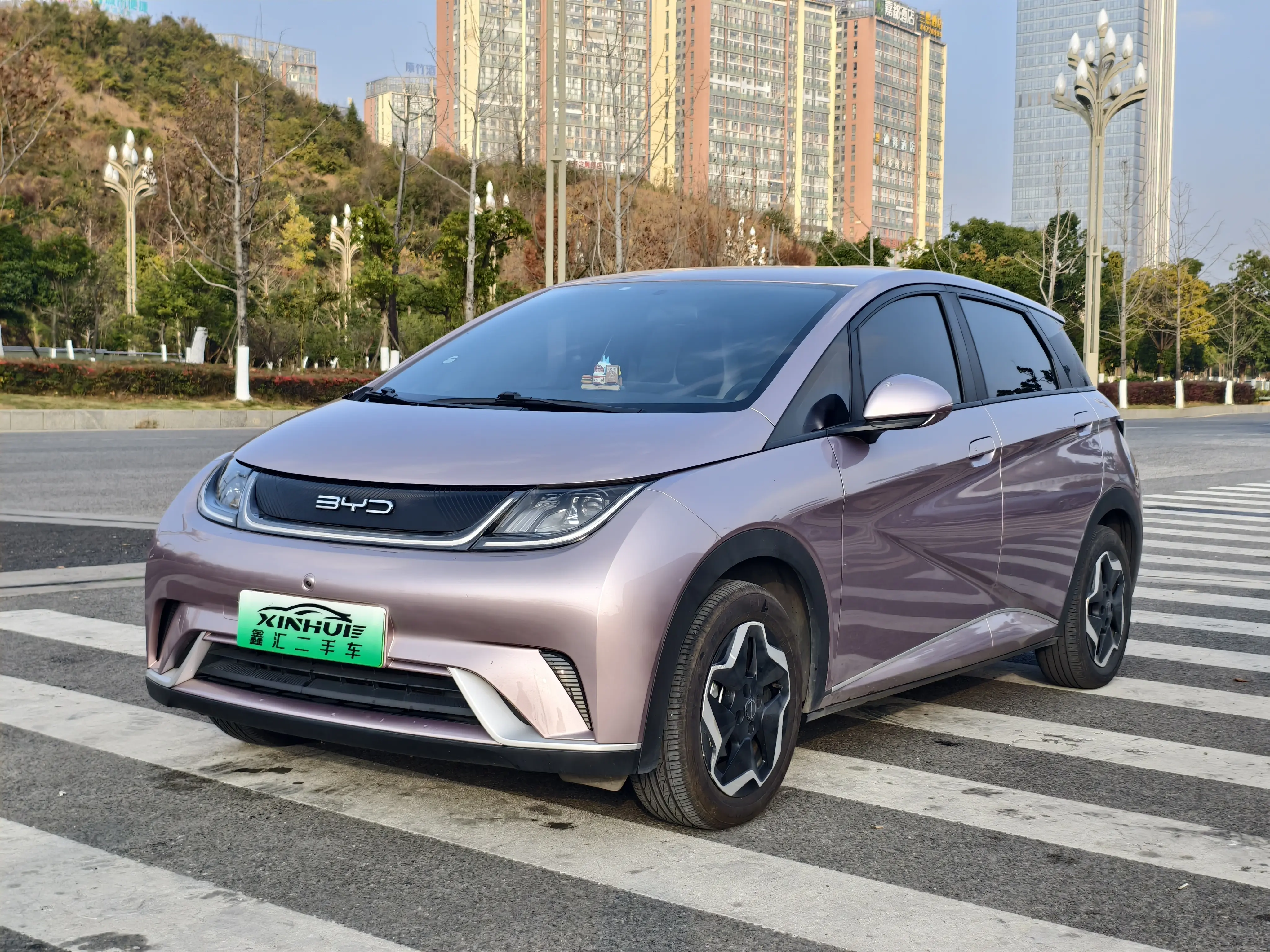 BYD Dolphin  из Китая